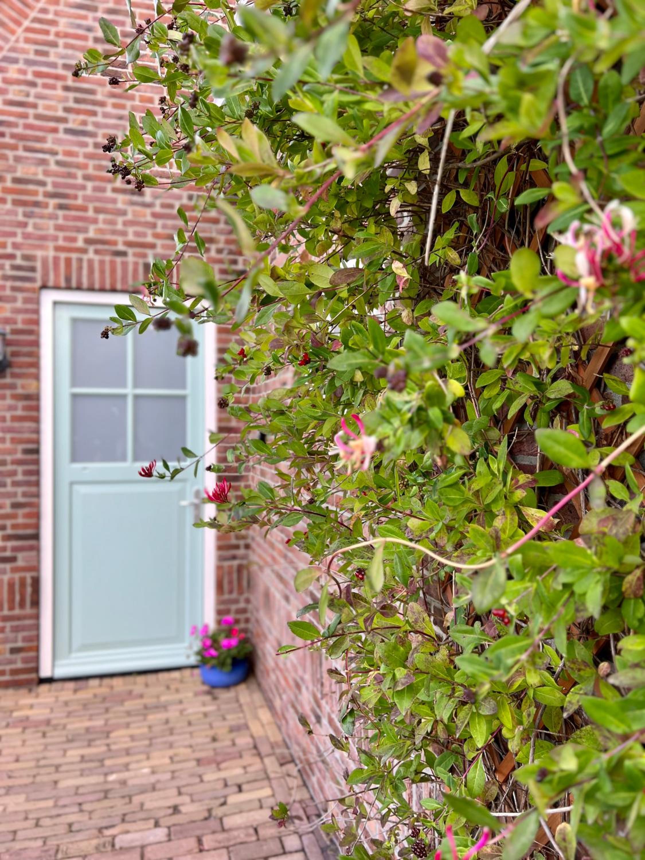 Beach & Forest Retreat -Domburg-