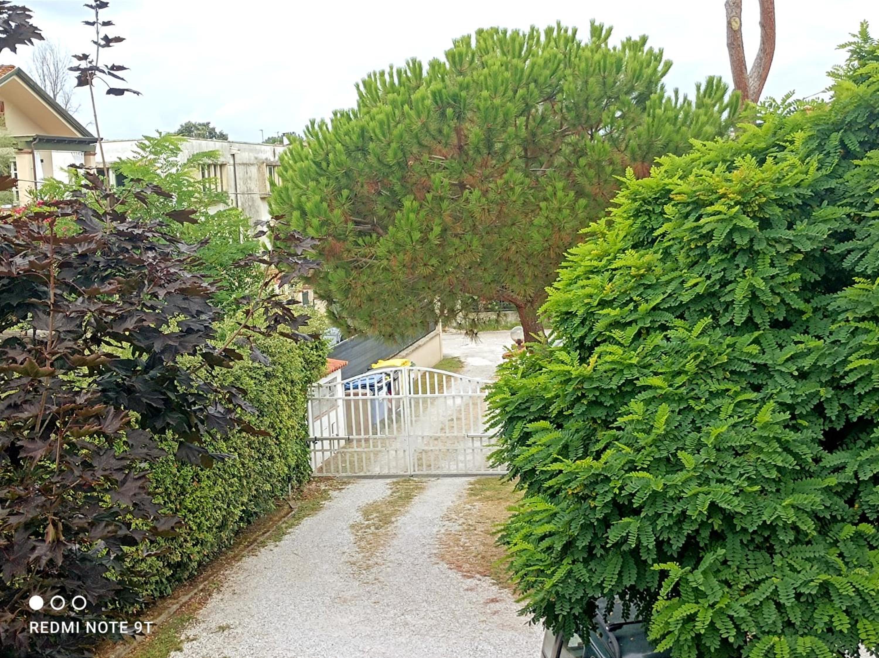 COMODO APPARTAMENTO VERSILIA view 3