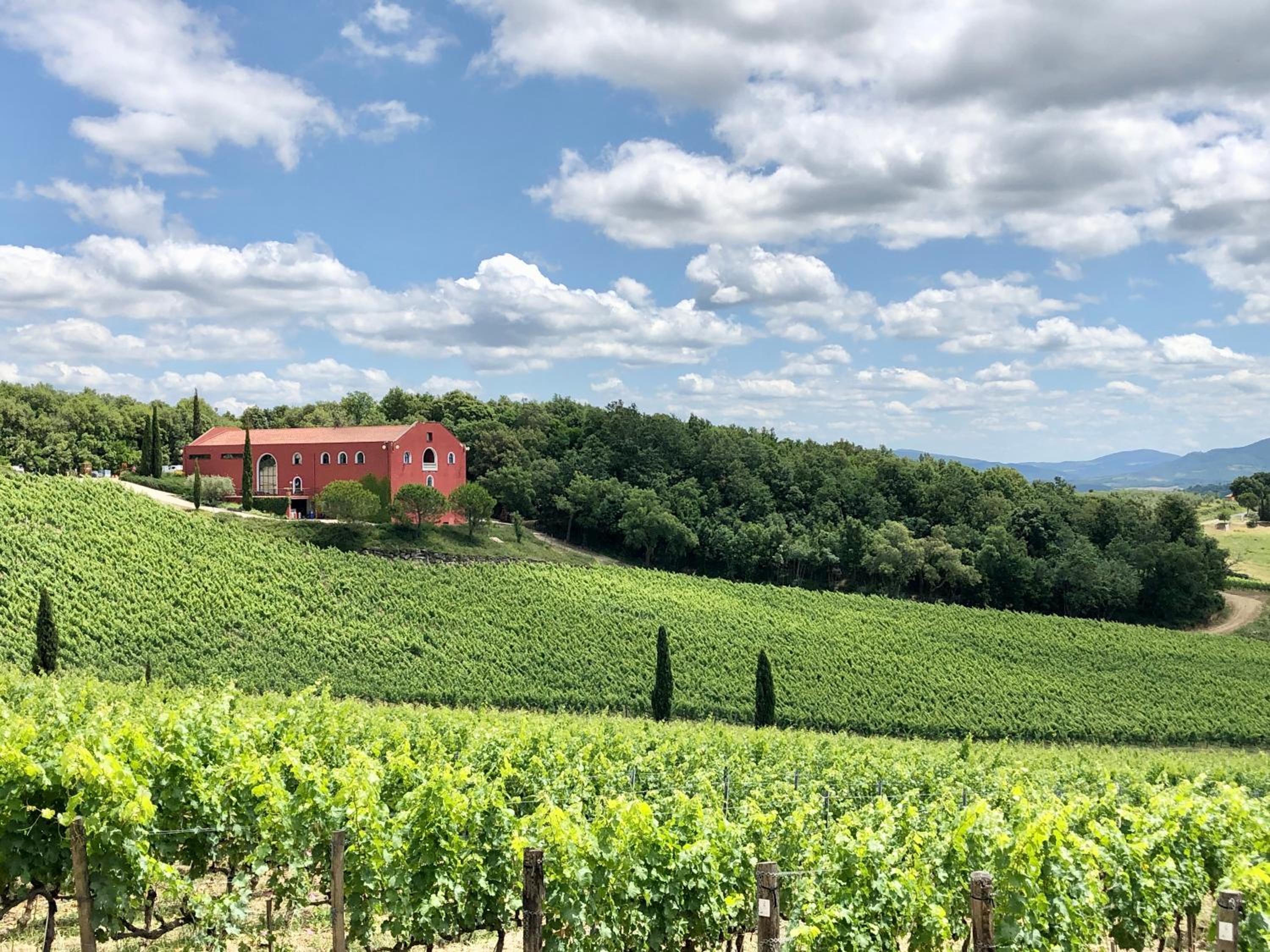 Casa Sara 3 km dal mare aria condizionata by ToscanaTour