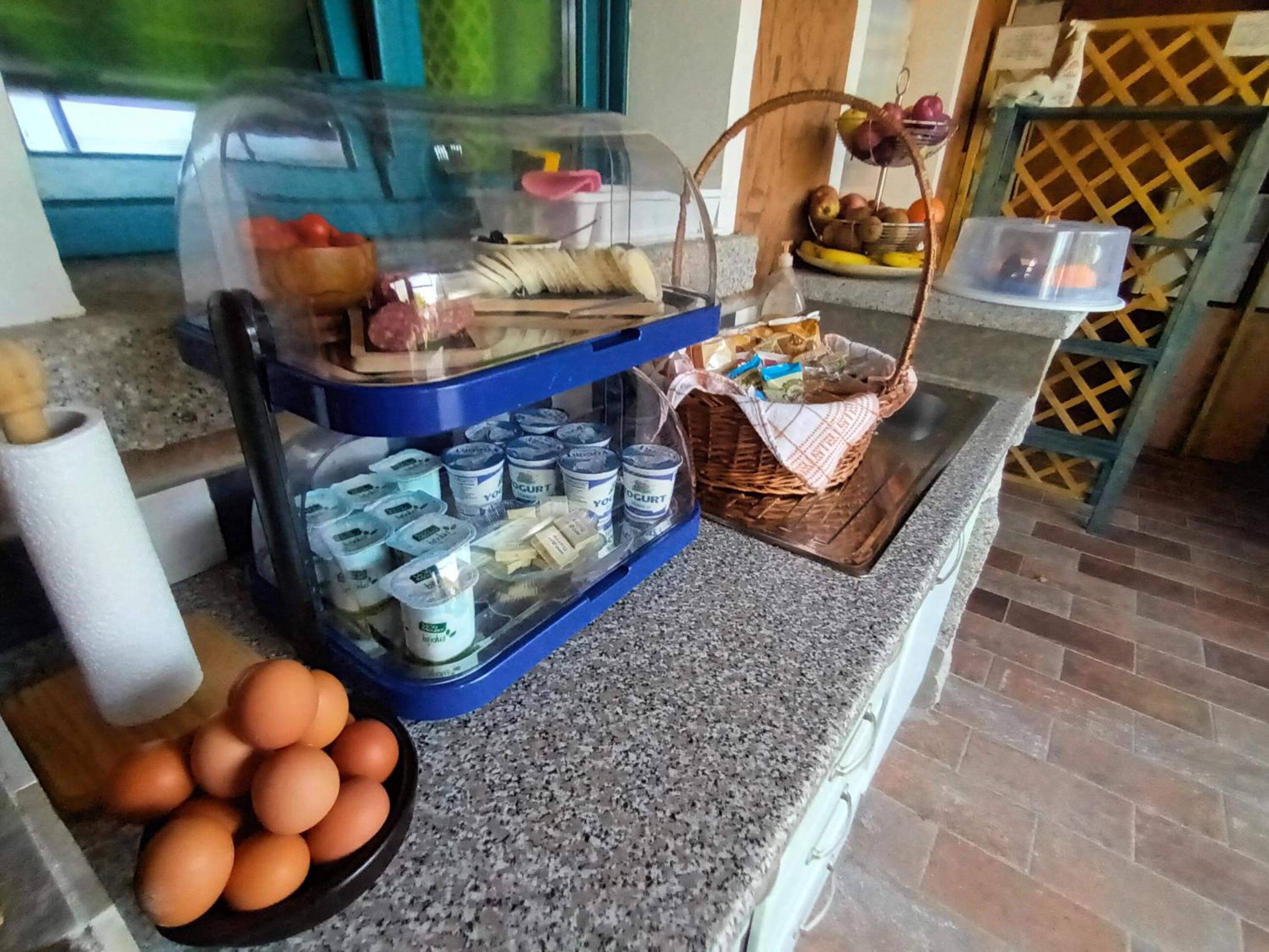 PortoPollo SurfHouse