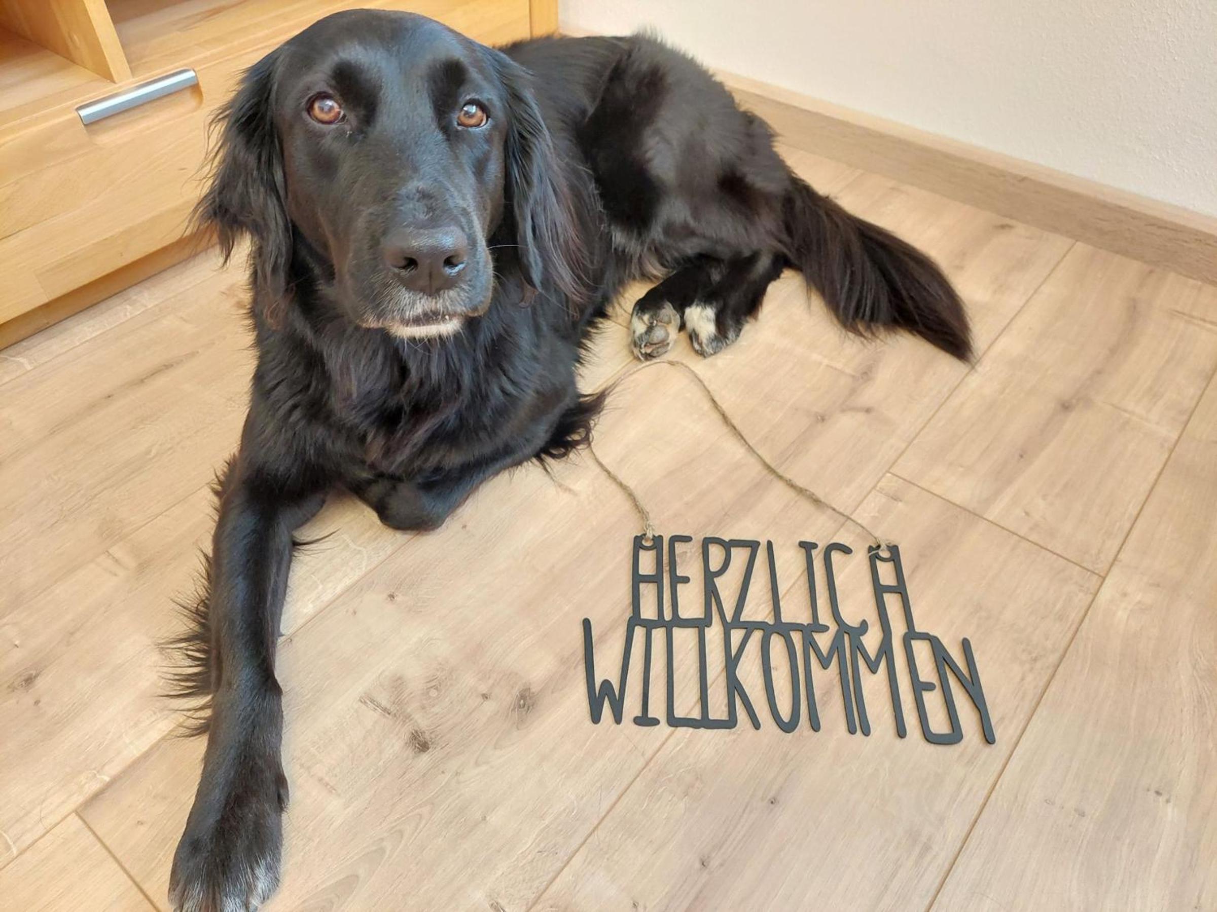 Ferienwohnung im Elsetal