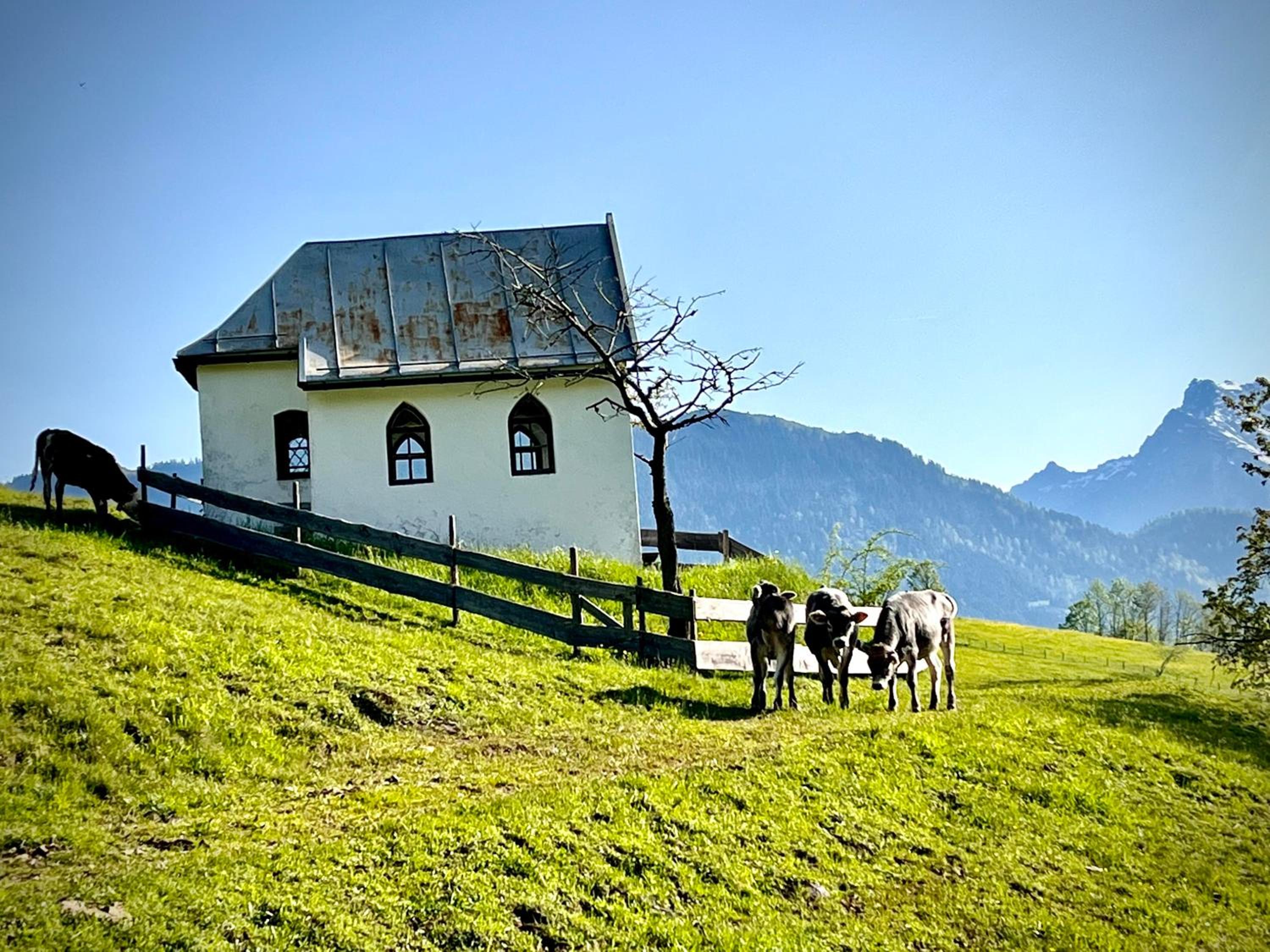 Bioberghof Rohr