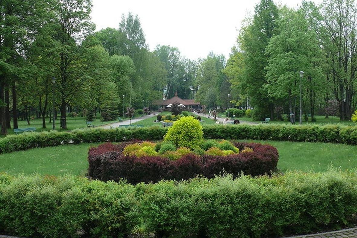 Photo 26