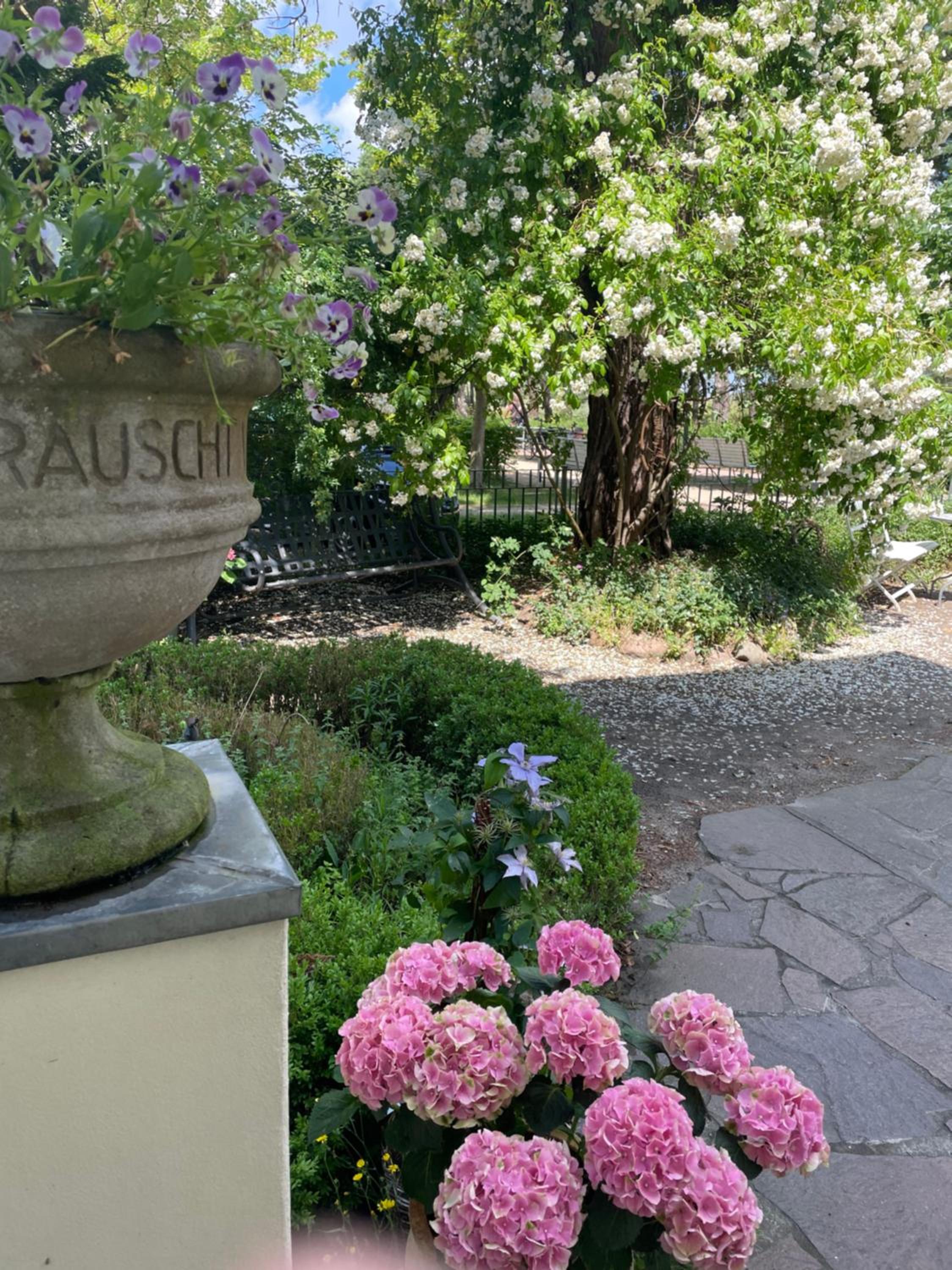 Villa Harmonie