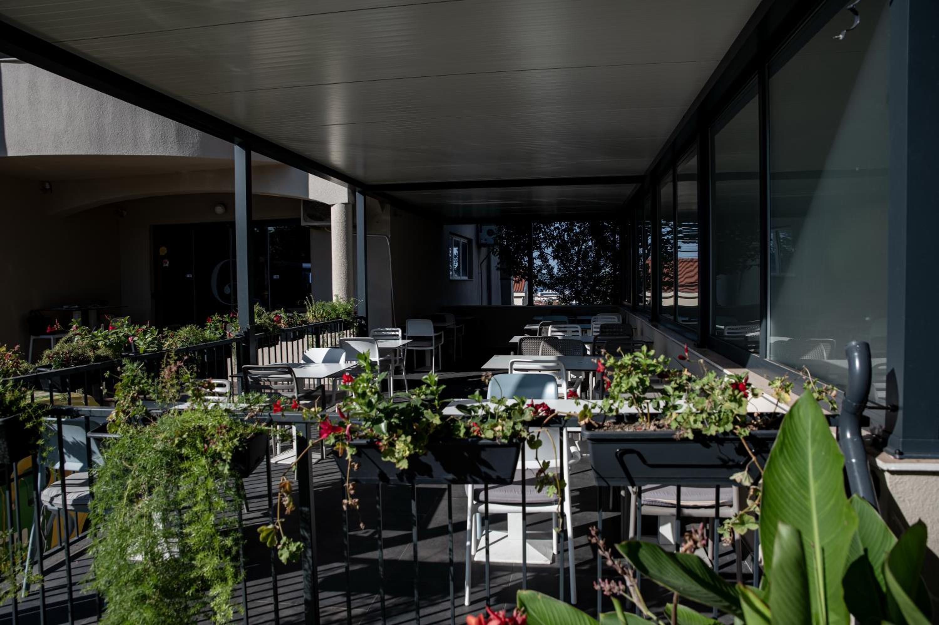 Bellevue Hill apartment view 5