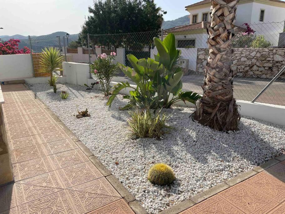 Casa Pap