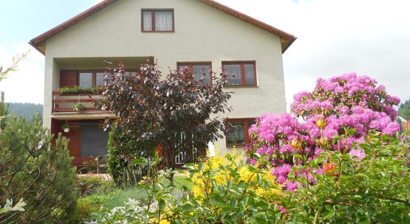 Homestay Machom view 5