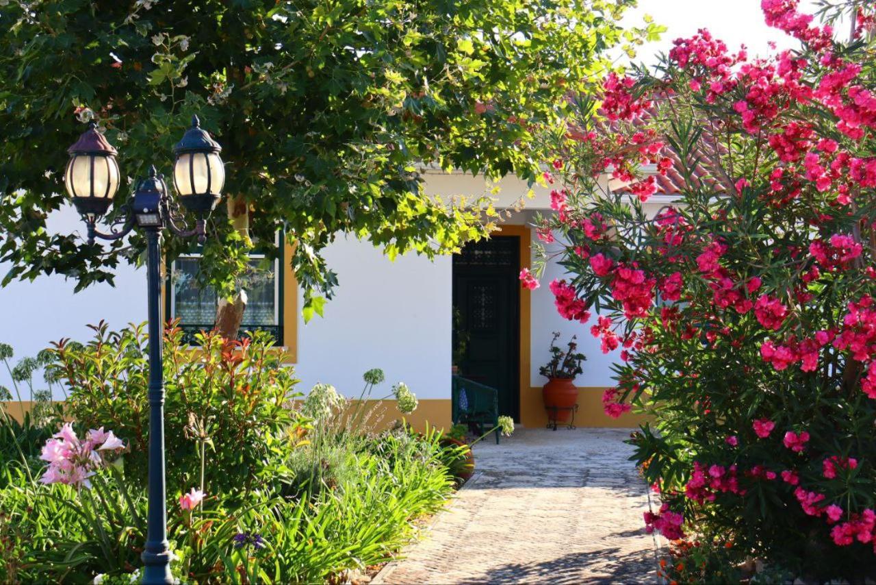 Casa Robusto view 2