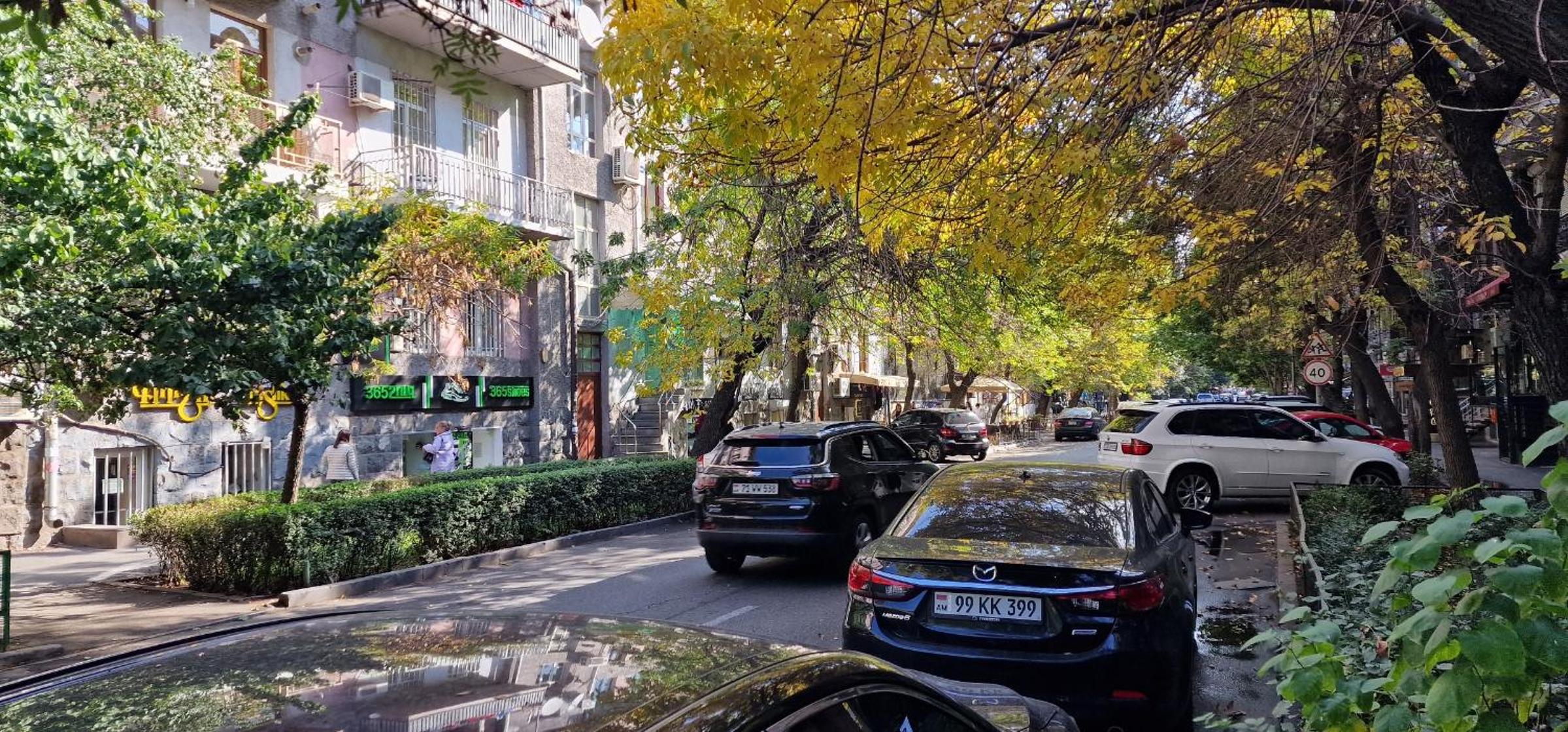 Lovely 2-bedroom apartment near North Avenue in Yerevan