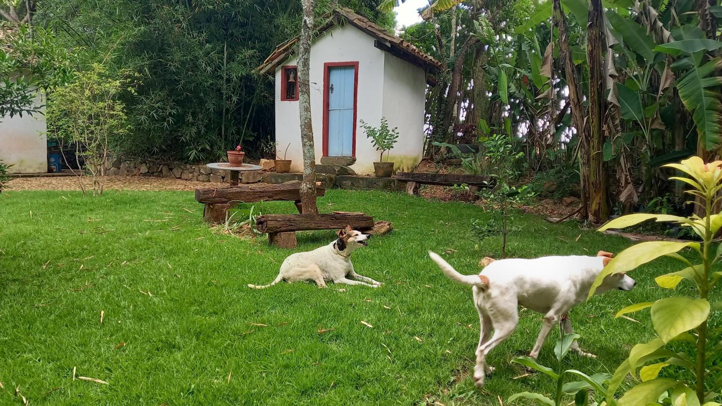 Casa Verde-Casa de Temporada no Bichinho