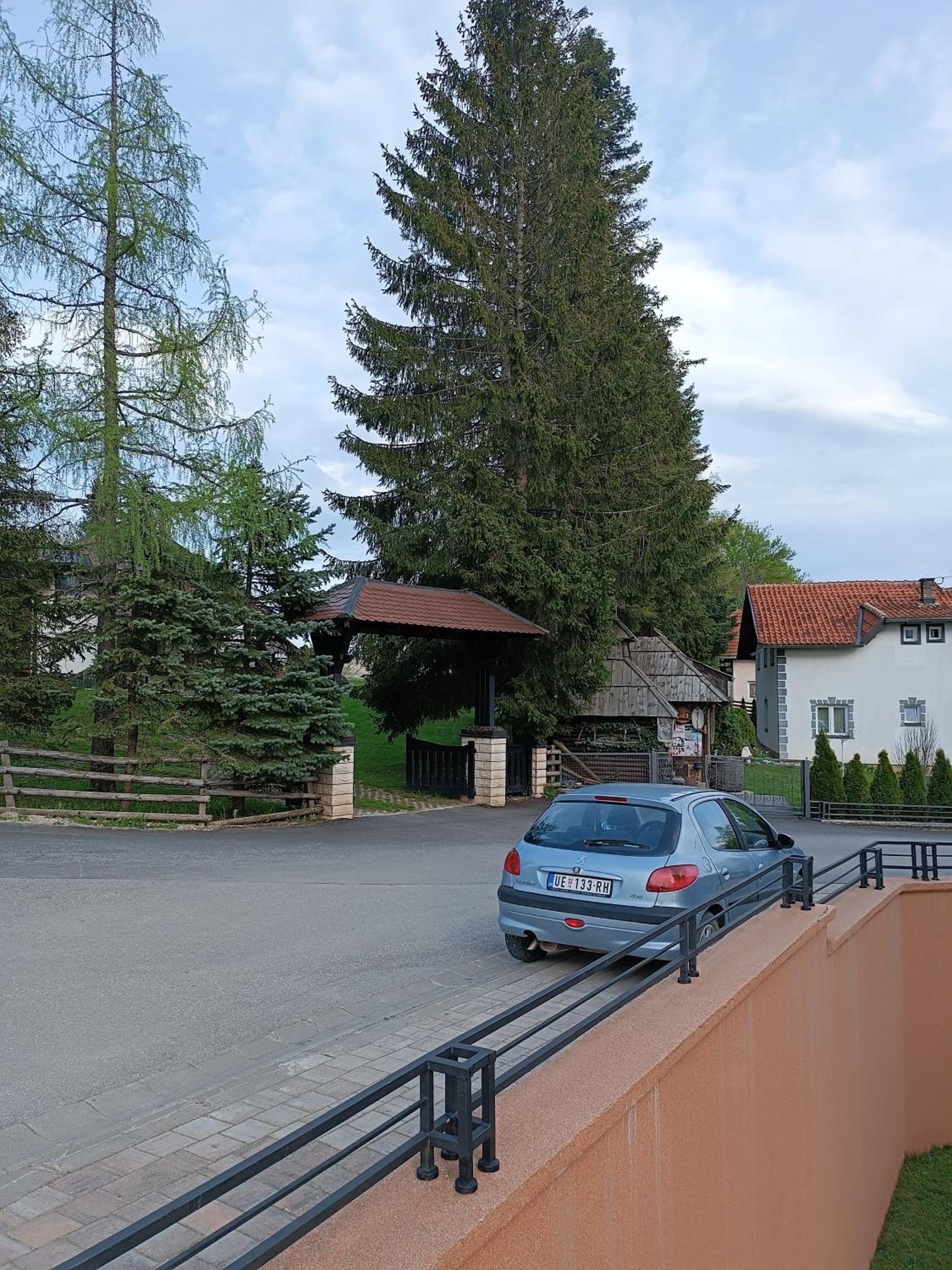 Photo 9