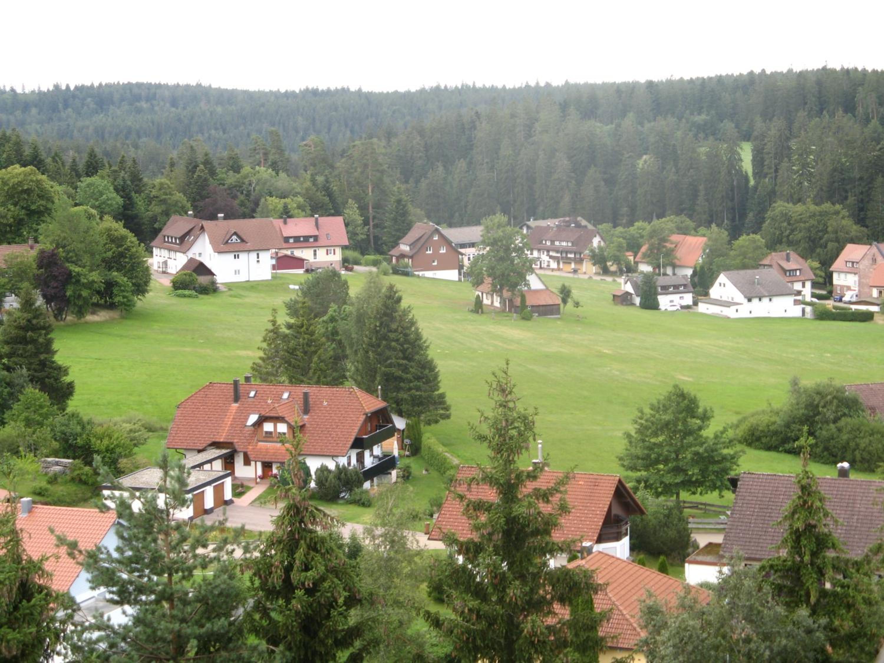 Ferienwohnung Schwarzwald Oase Kniebis