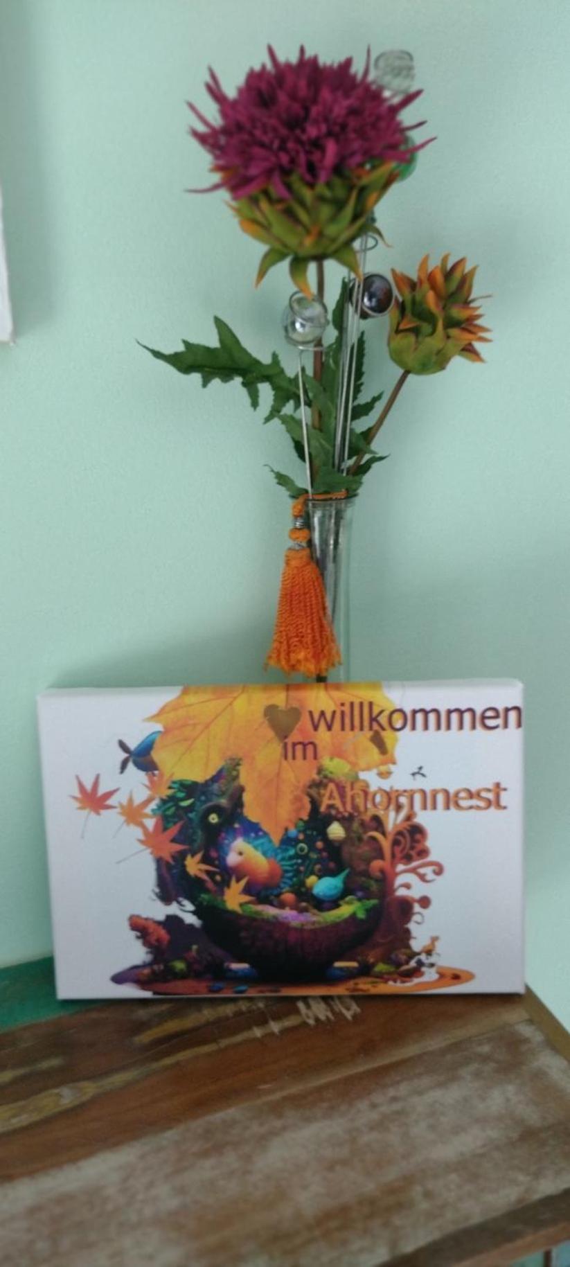 Ahornnest
