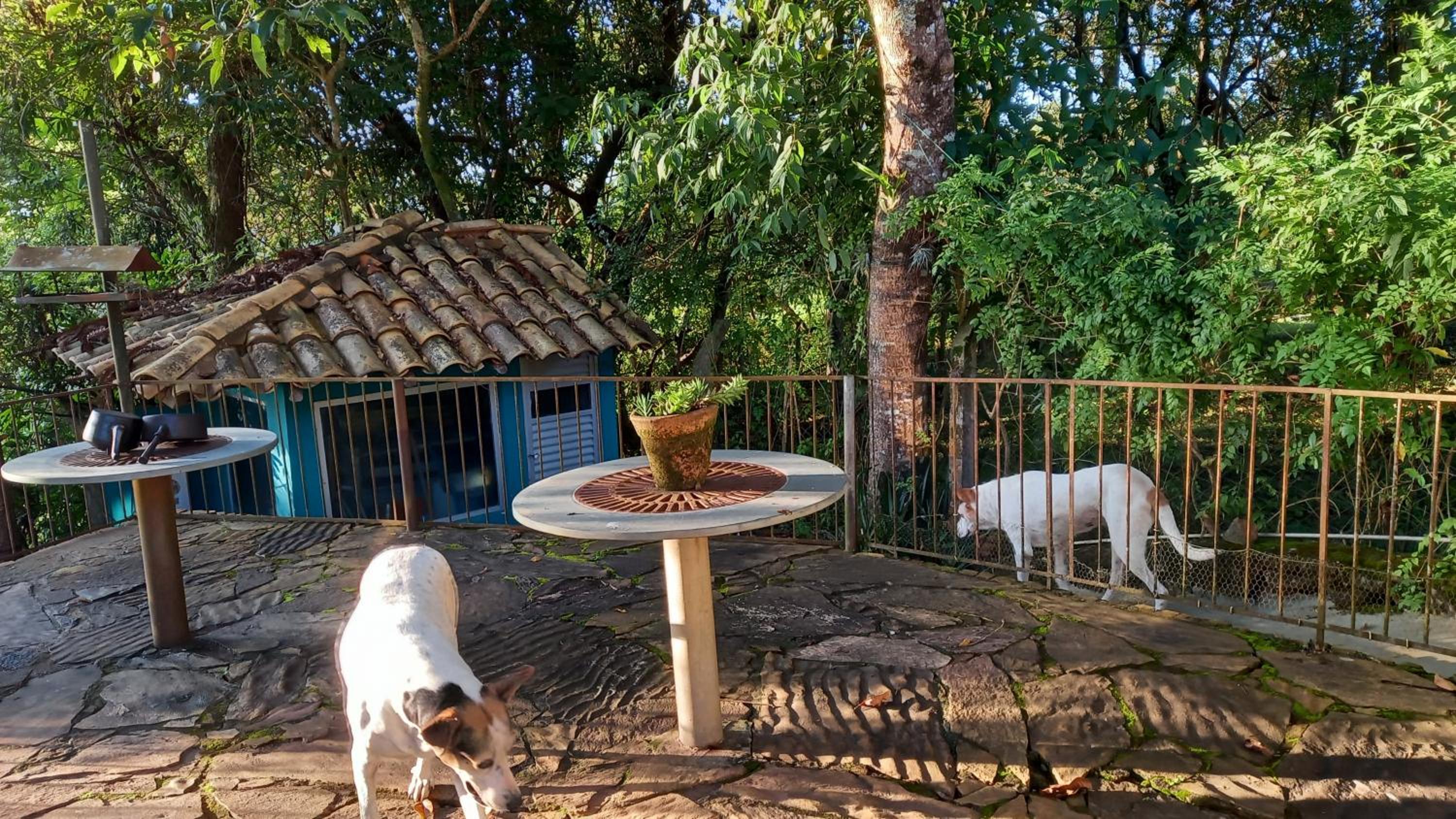 Casa Verde-Casa de Temporada no Bichinho