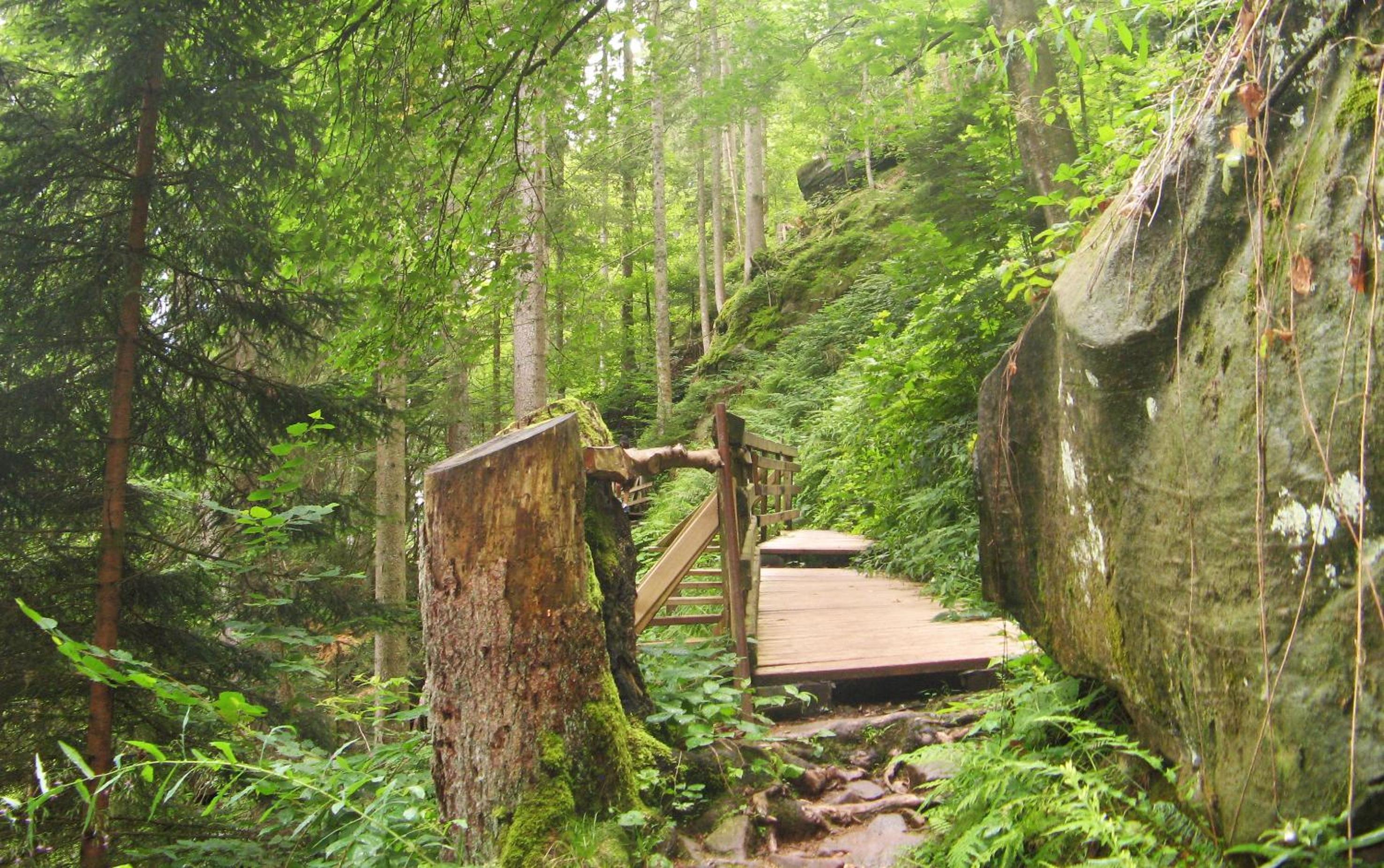 Ferienwohnung Schwarzwald Oase Kniebis