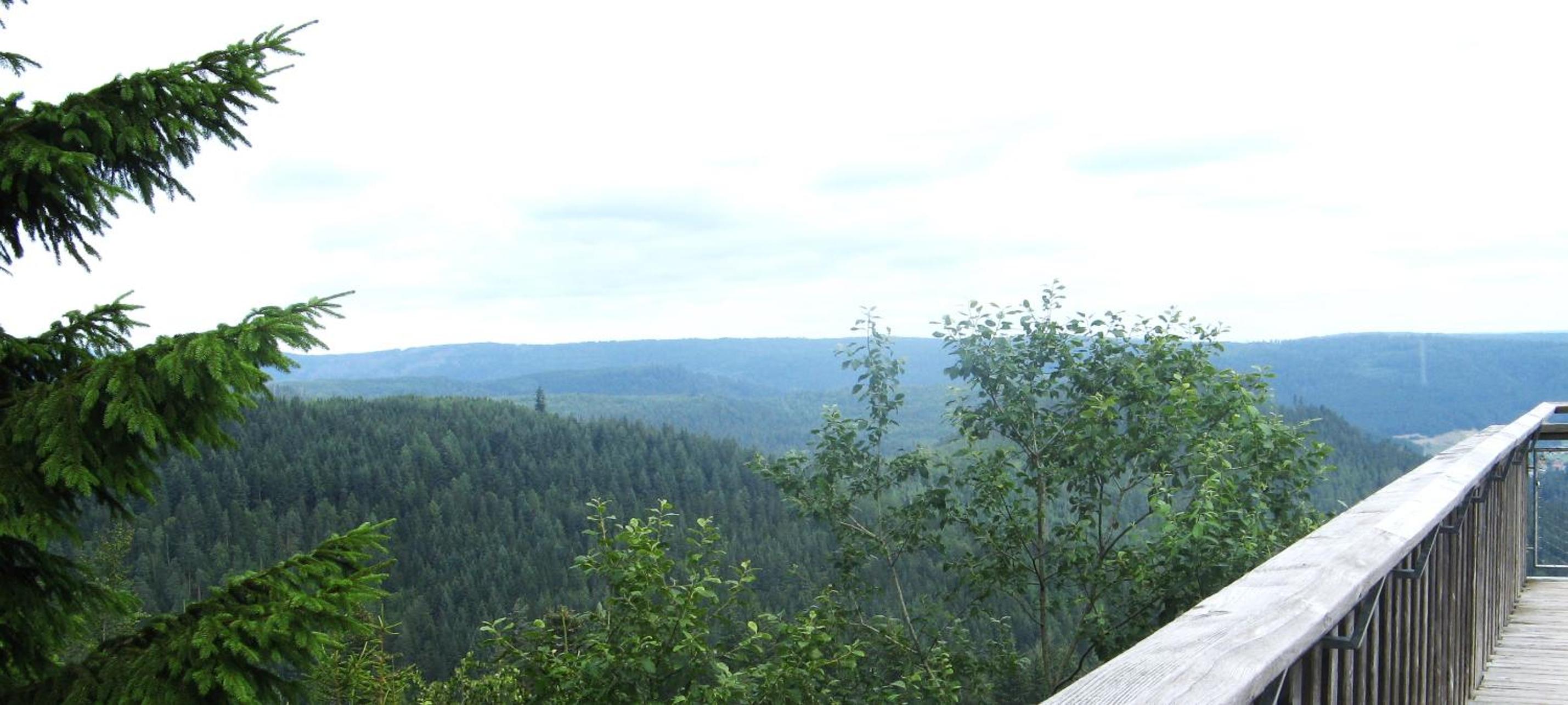 Ferienwohnung Schwarzwald Oase Kniebis