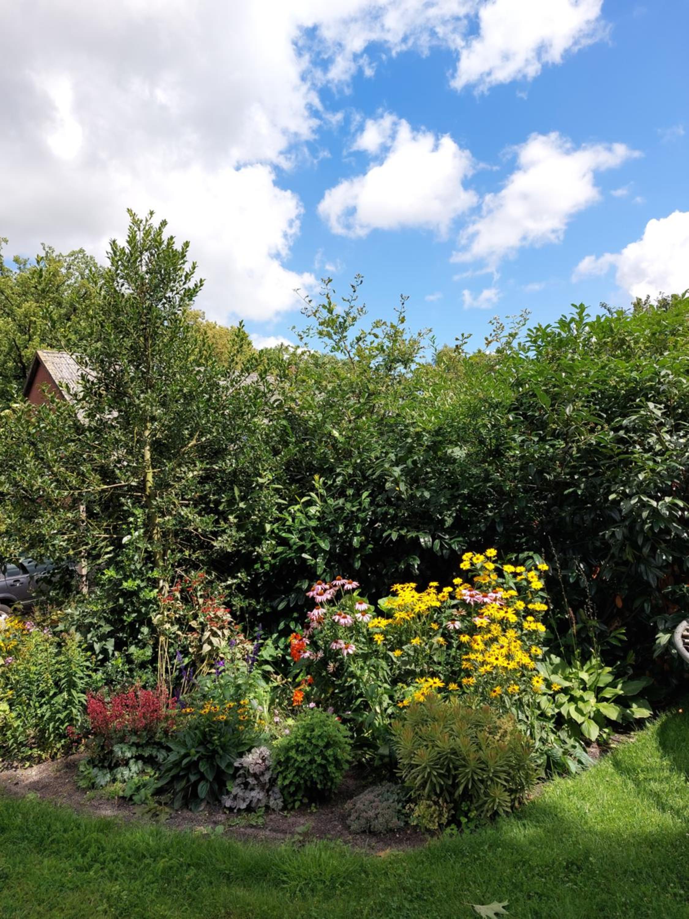 Ferienwohnung am Drömling Südheide - Gerda