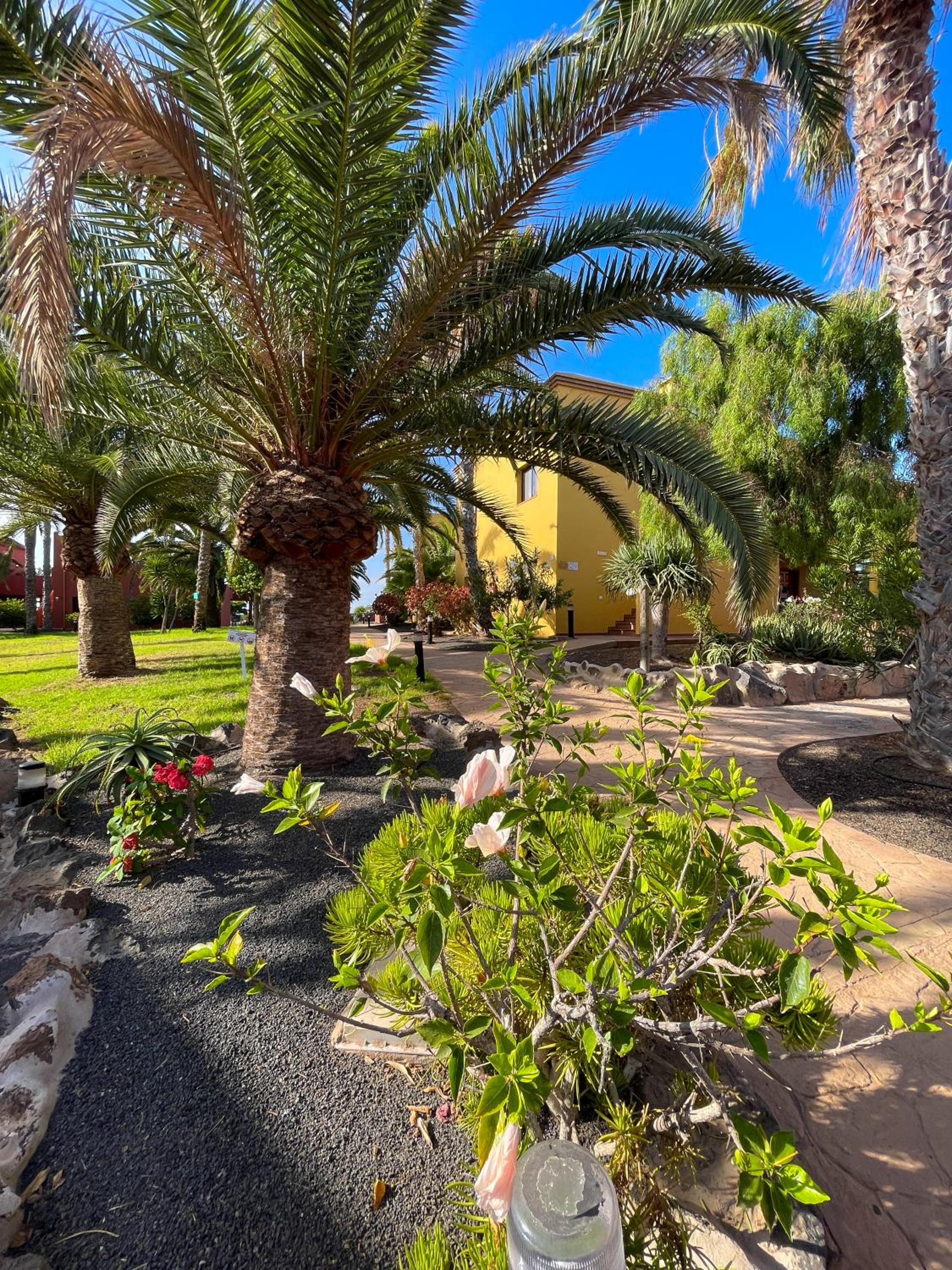 Karol Home by Best Holidays Fuerteventura