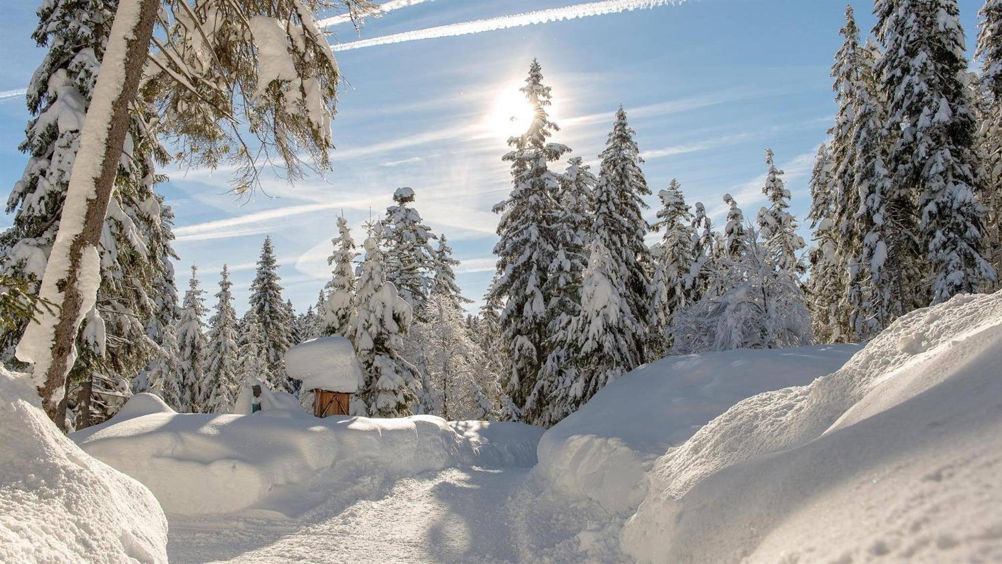 Haus Almrose