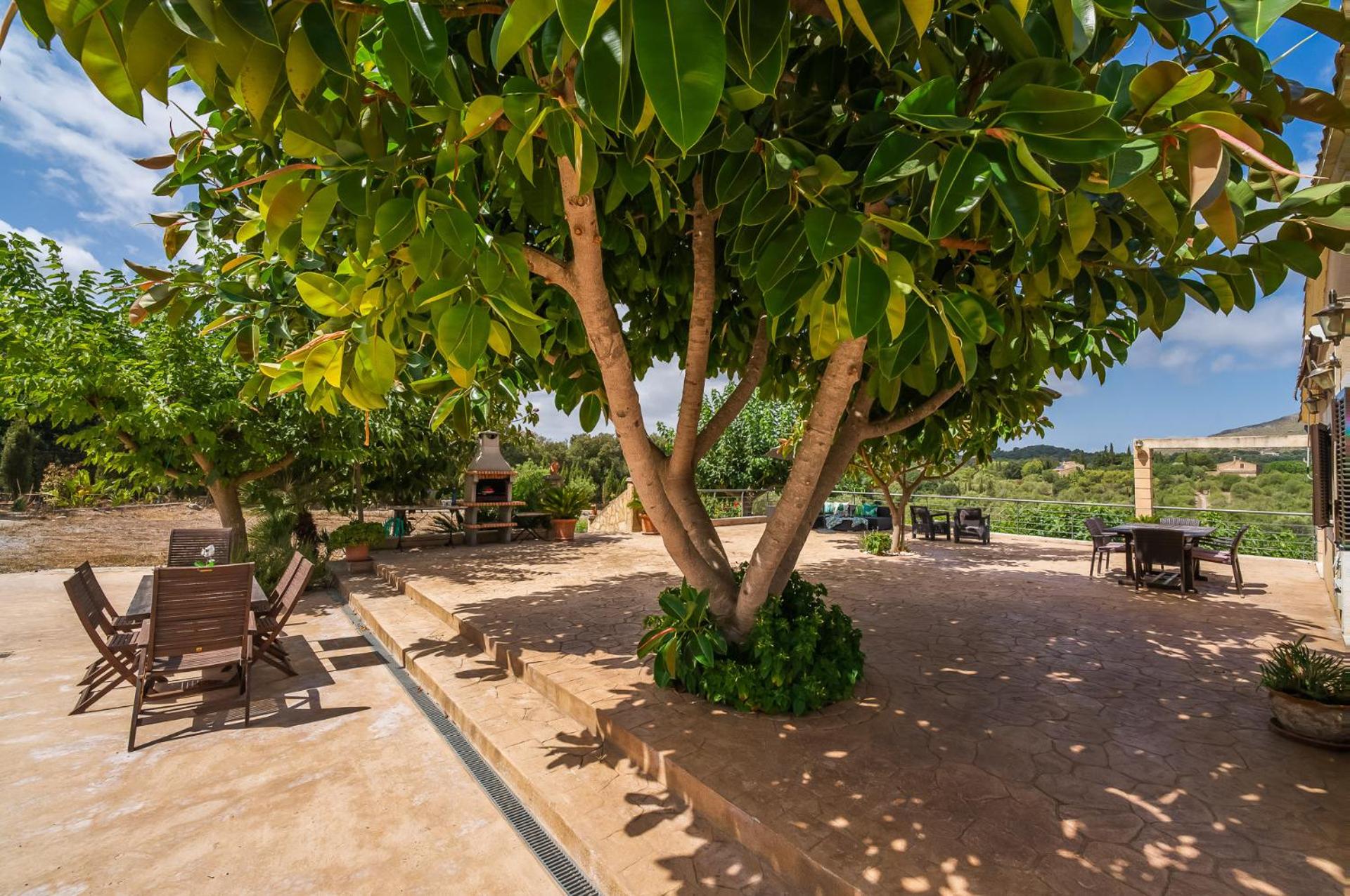 Ideal Property Mallorca - Sementaret