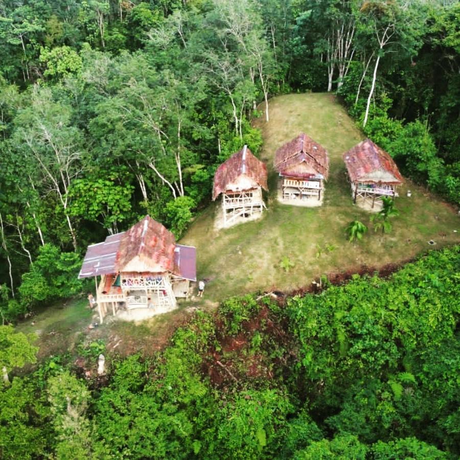 ORANGUTANTREKSUMATRA & LOVELY JUNGLE LODGE only book IF you are treking with us