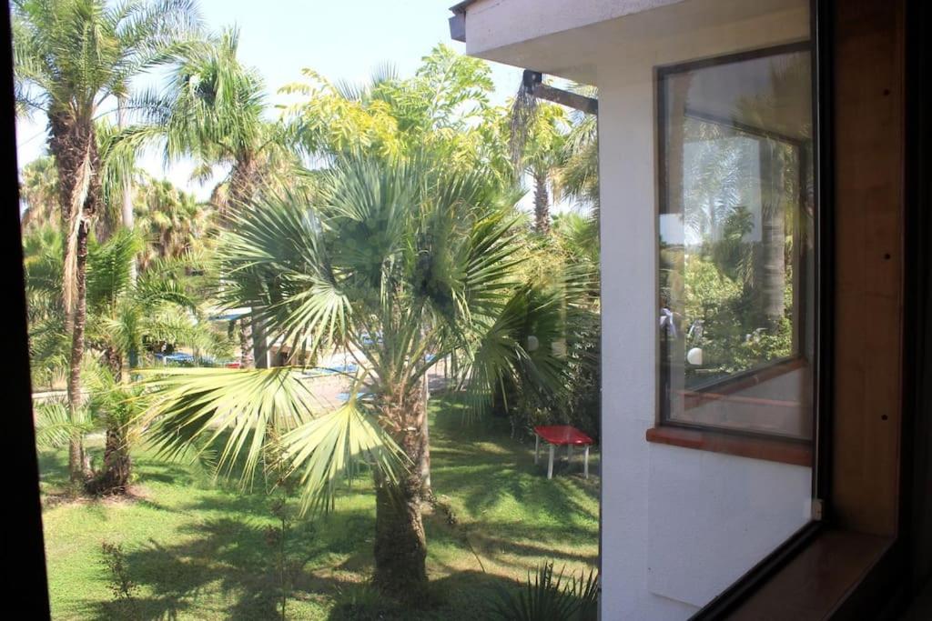 Tropical Garden
