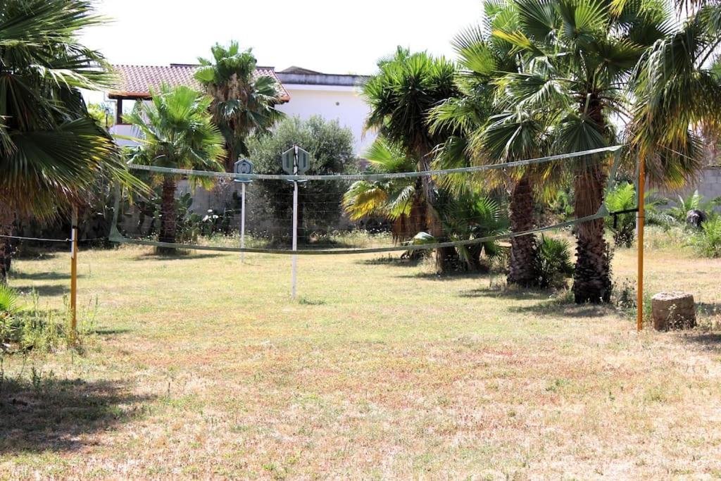 Tropical Garden