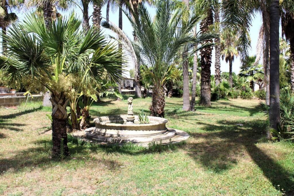 Tropical Garden