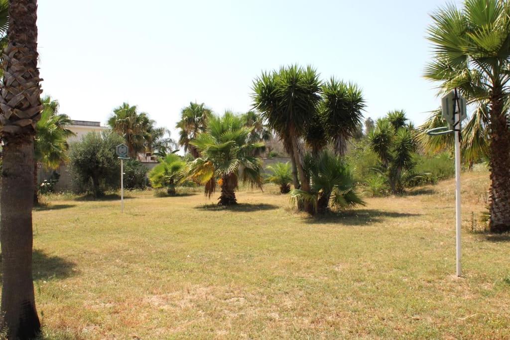 Tropical Garden