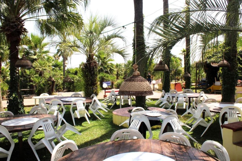 Tropical Garden