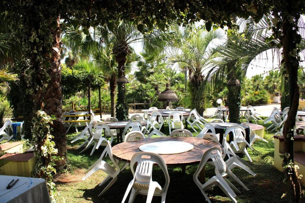 Tropical Garden