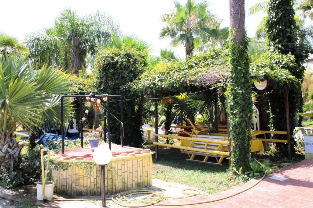 Tropical Garden