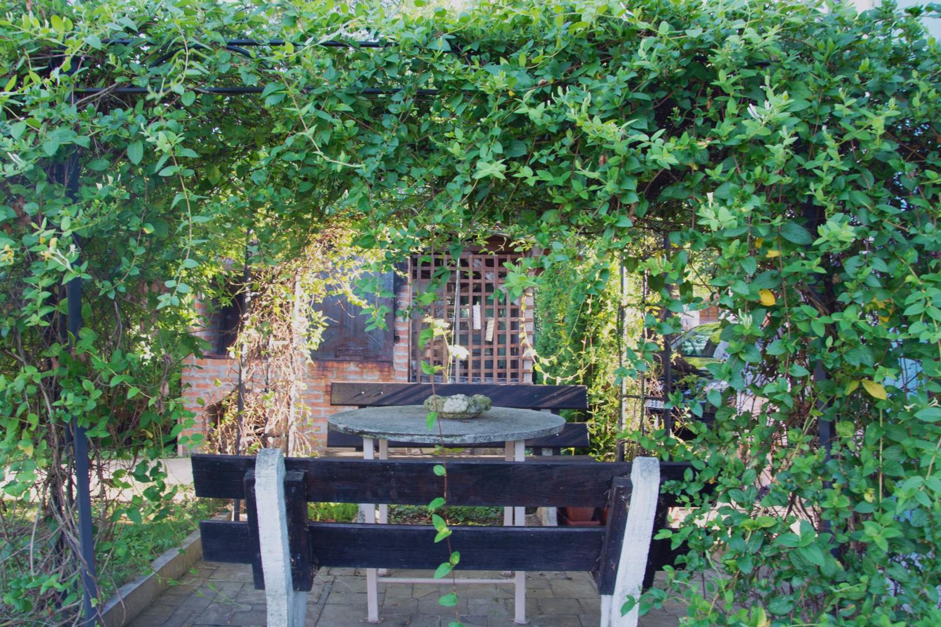 Photo 42
