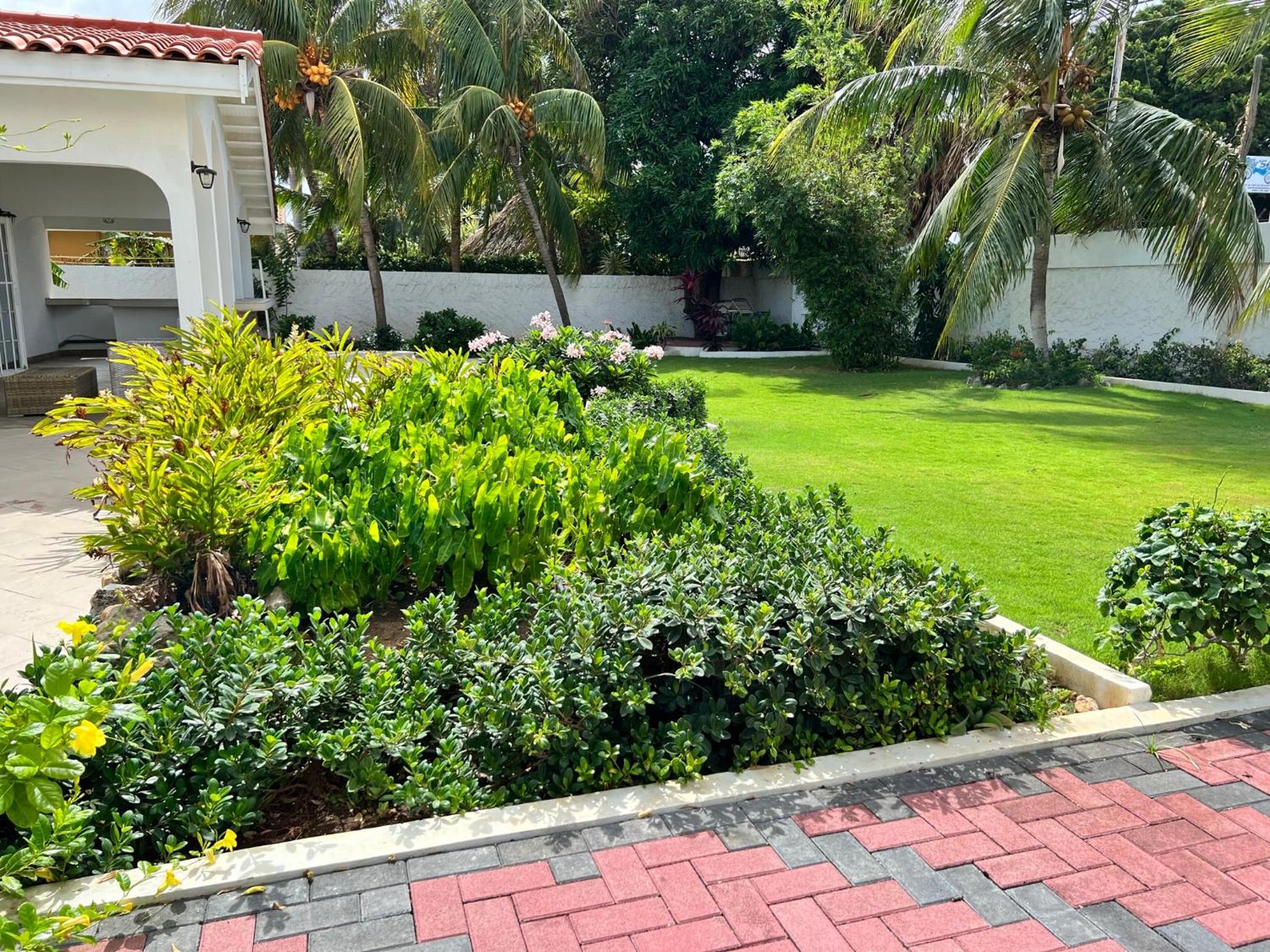 Luxury Villa with Private Pool near Mambo and Cabana beach