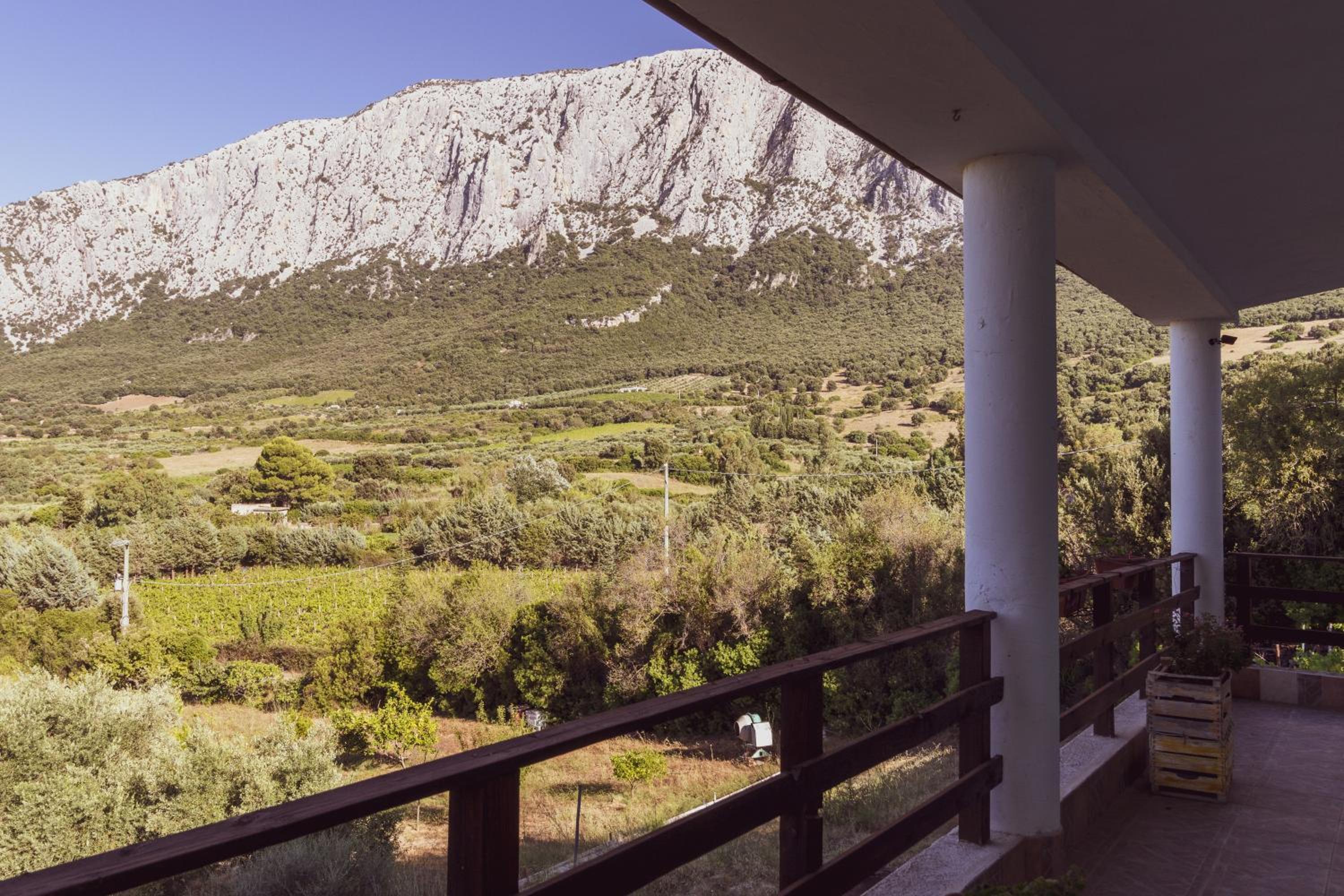Panoramic House