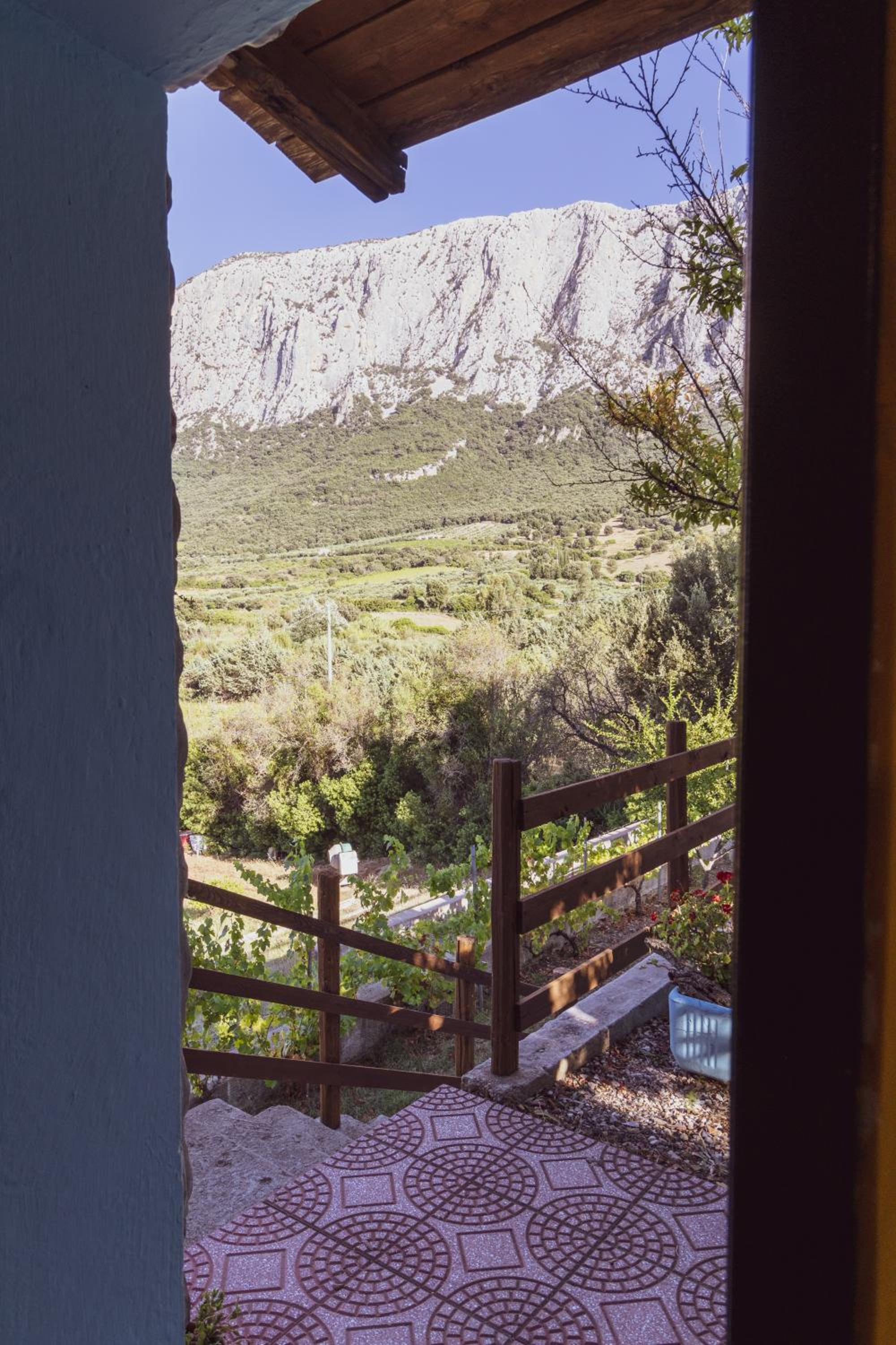 Panoramic House