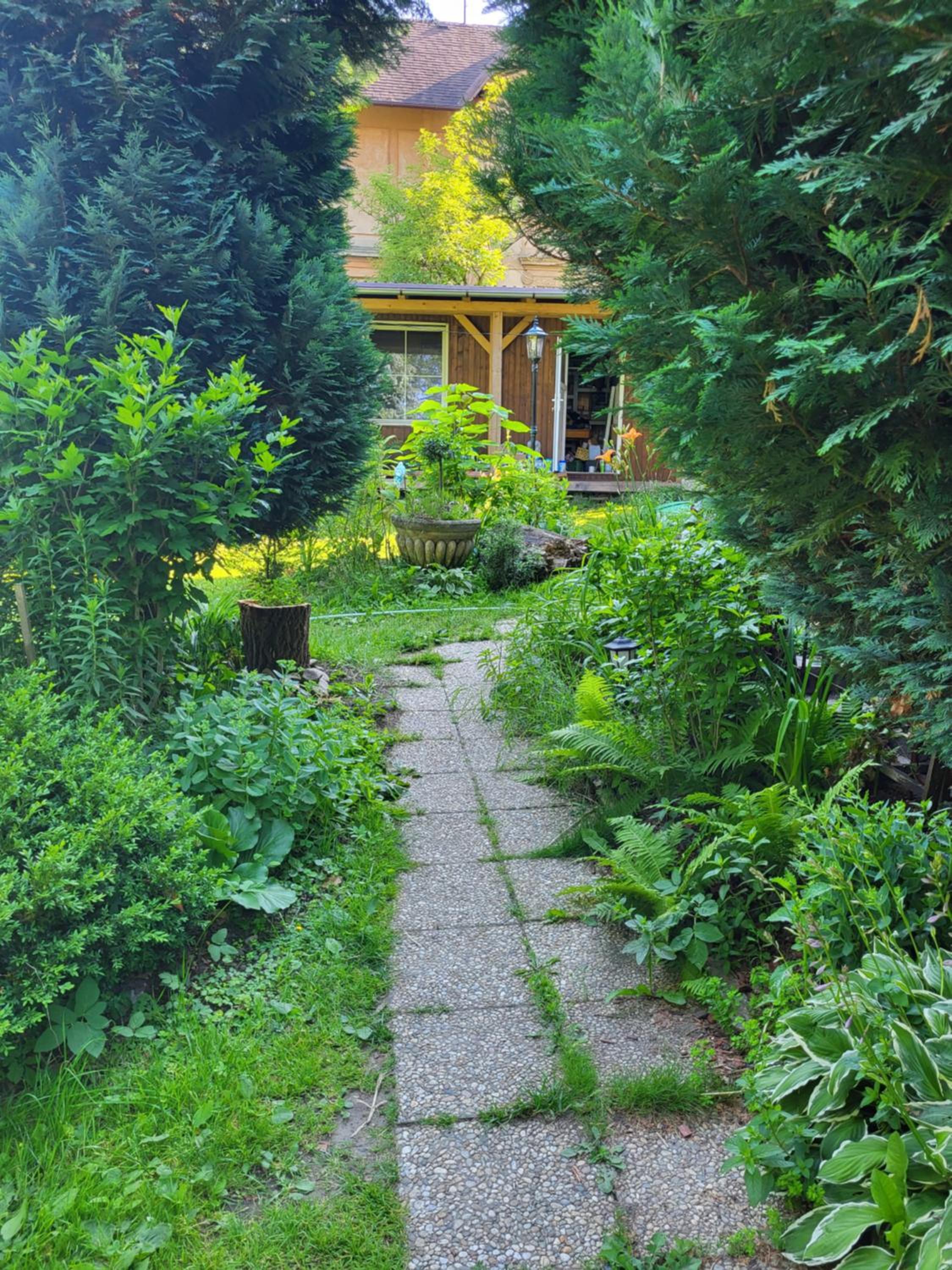Photo 29