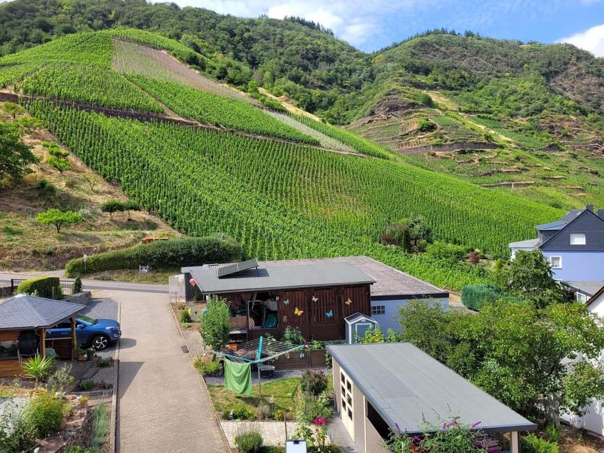 Ferienwohnung Haus am Calmont view 4