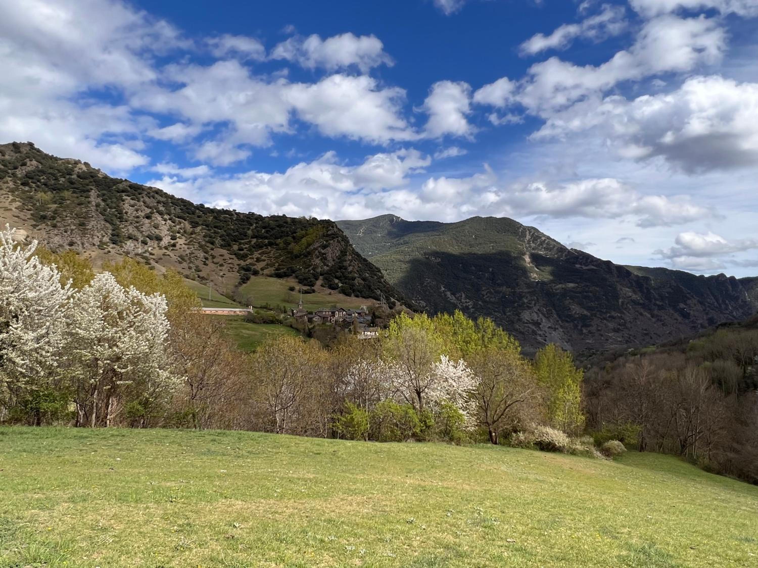 Casa L'Isard - Vall de Cardós - L'Amfitriona view 3