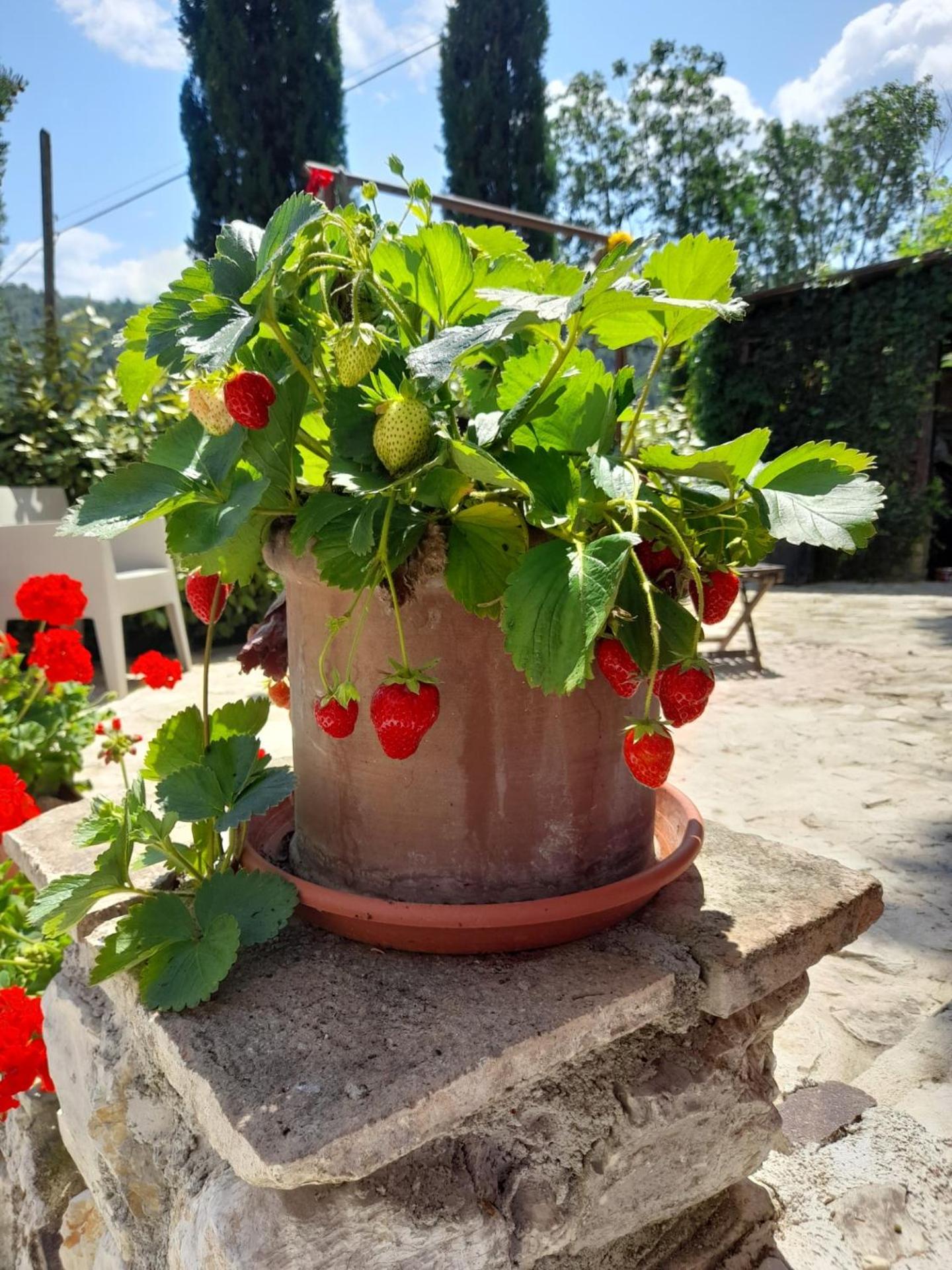 Volver B&B Spoleto view 4