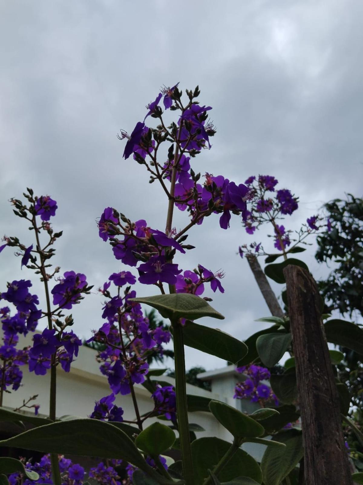 Bhuvanam homestay