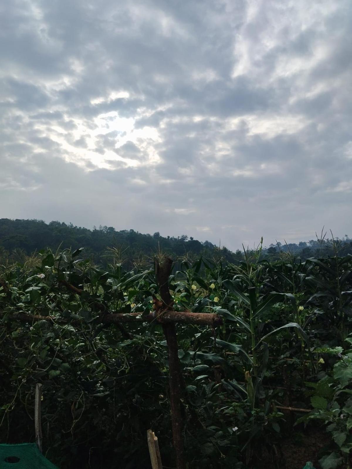 Bhuvanam homestay