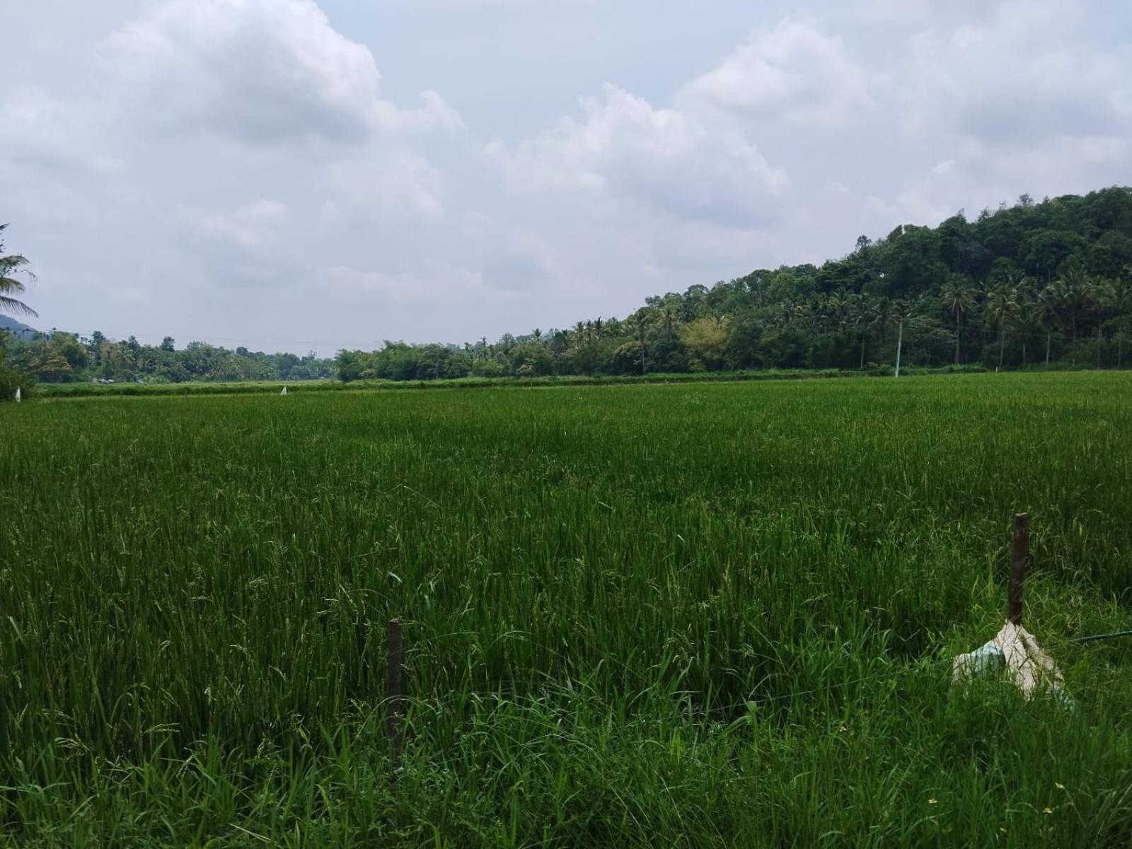 Bhuvanam homestay