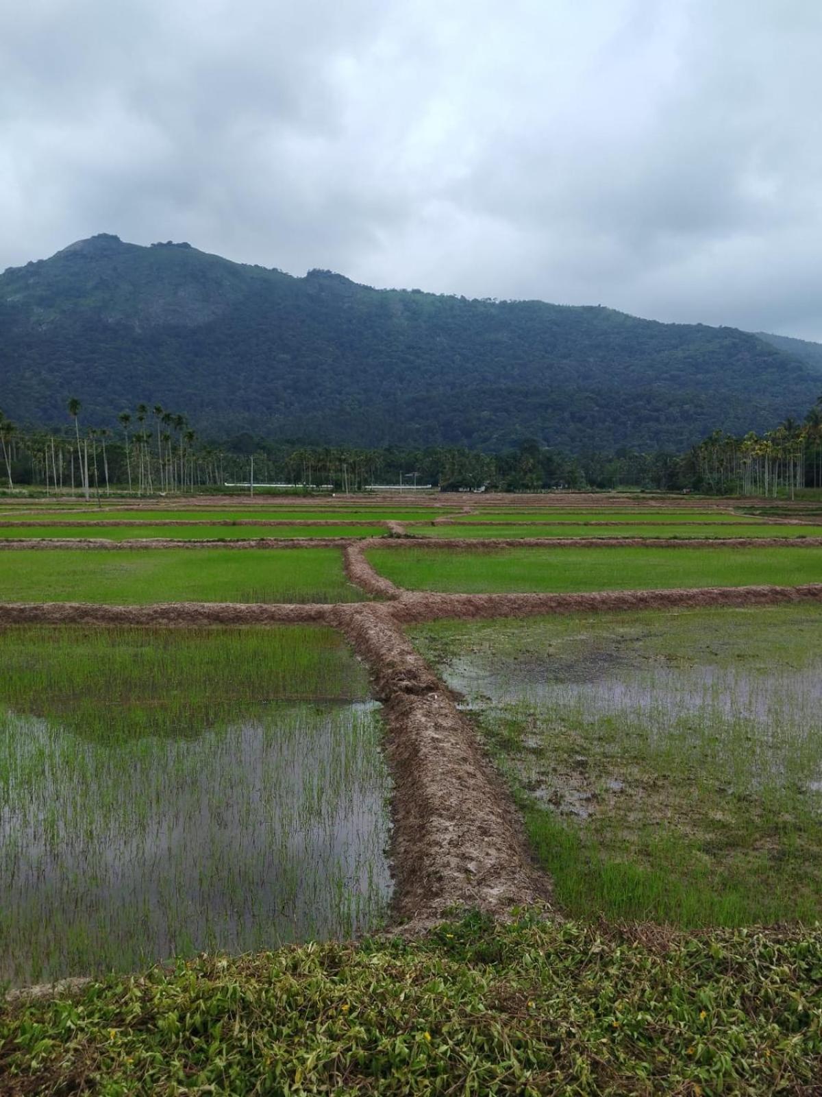 Bhuvanam homestay