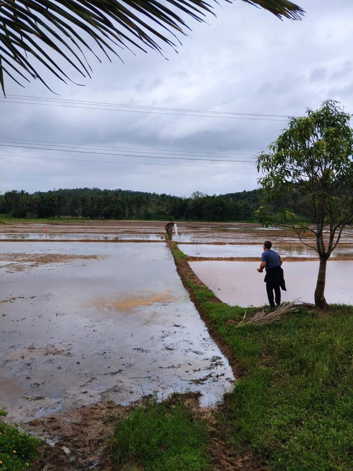 Bhuvanam homestay
