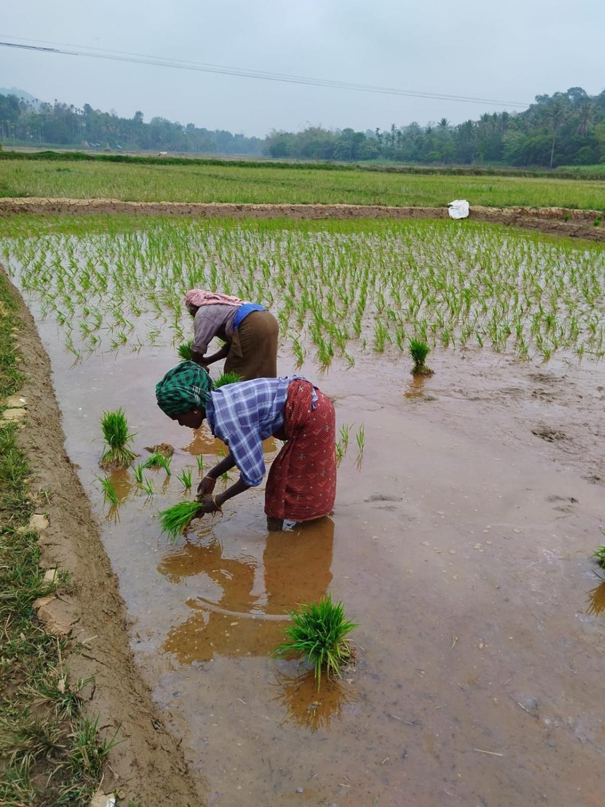 Bhuvanam homestay