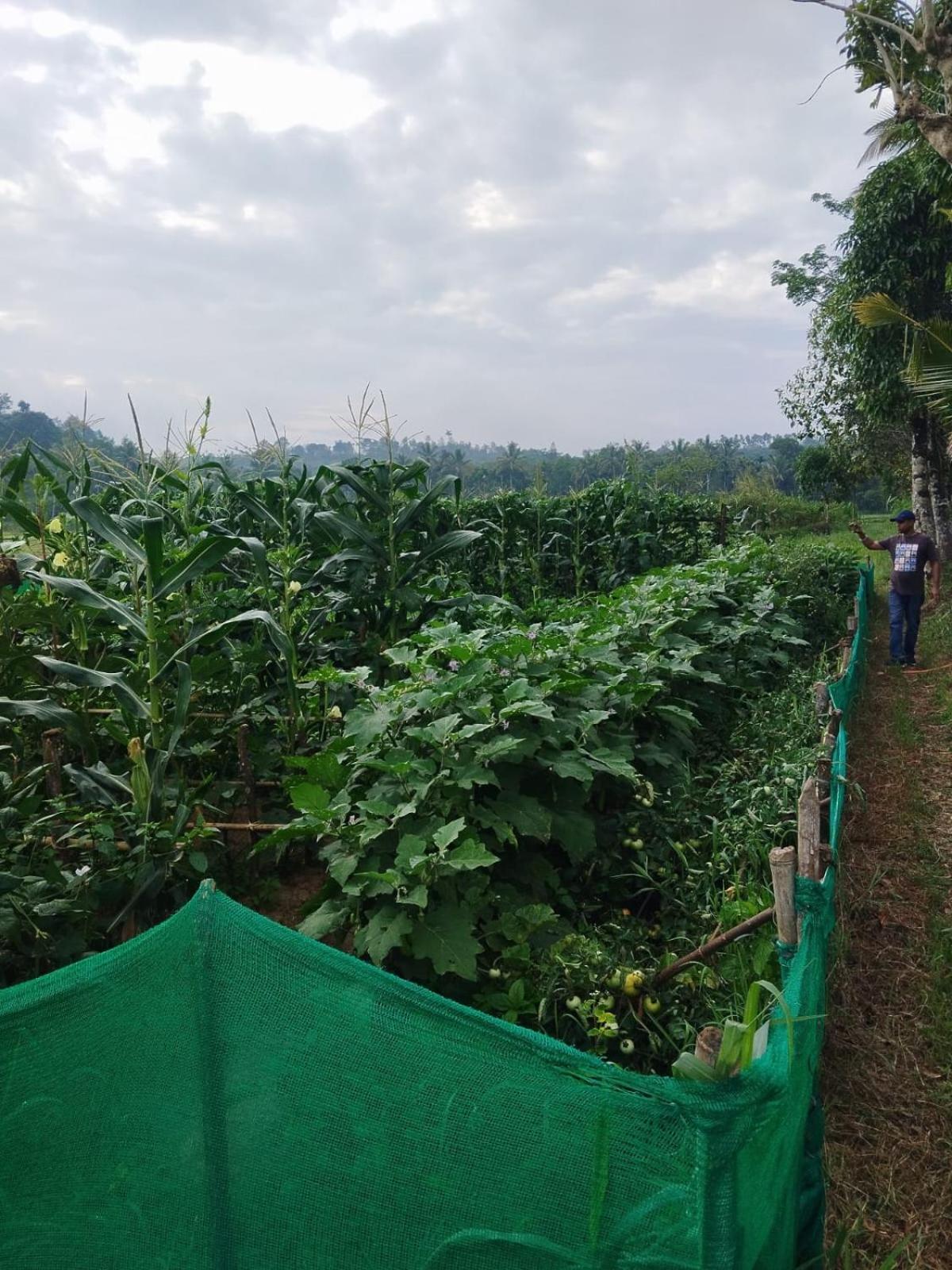 Bhuvanam homestay