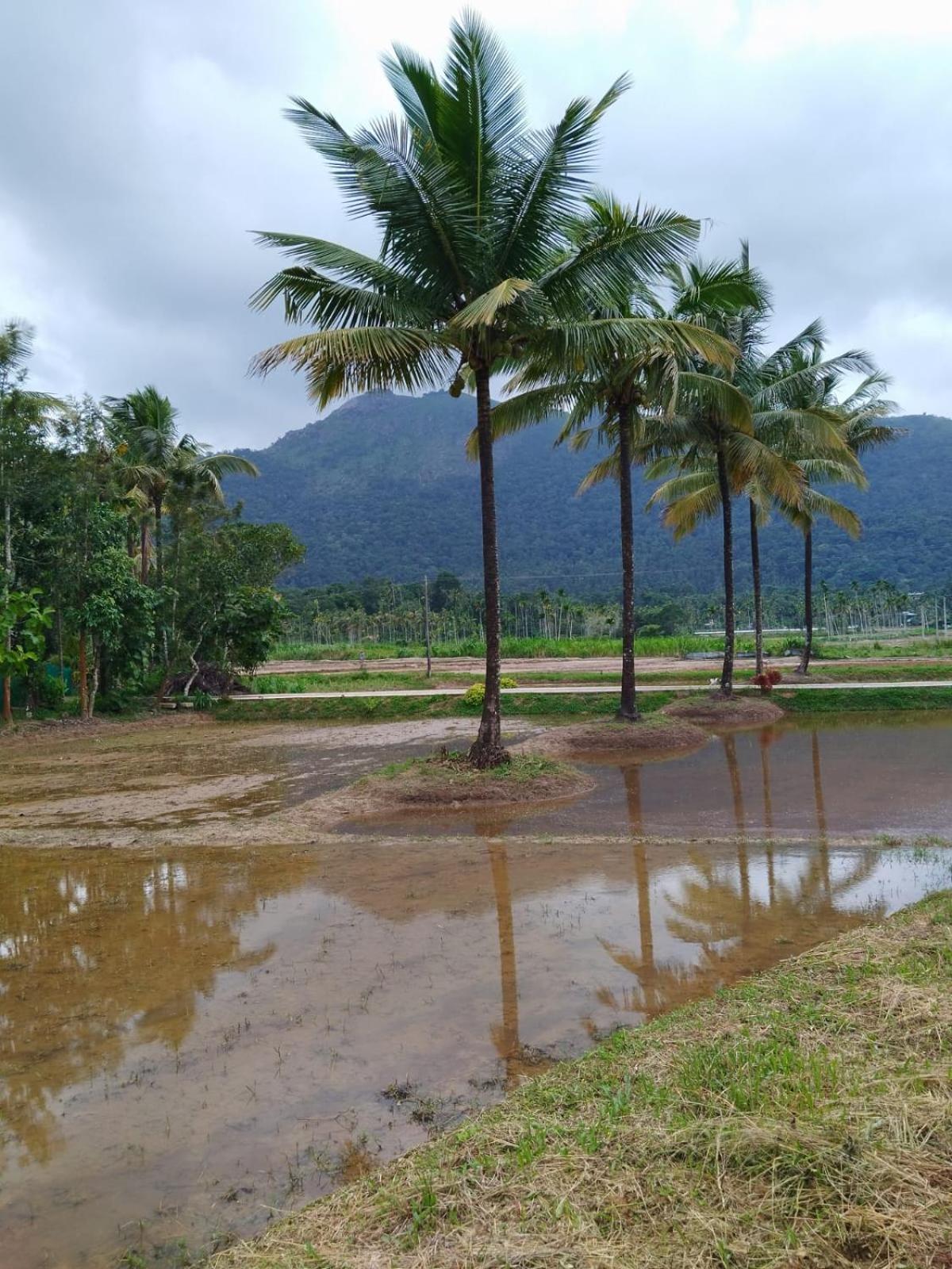 Bhuvanam homestay