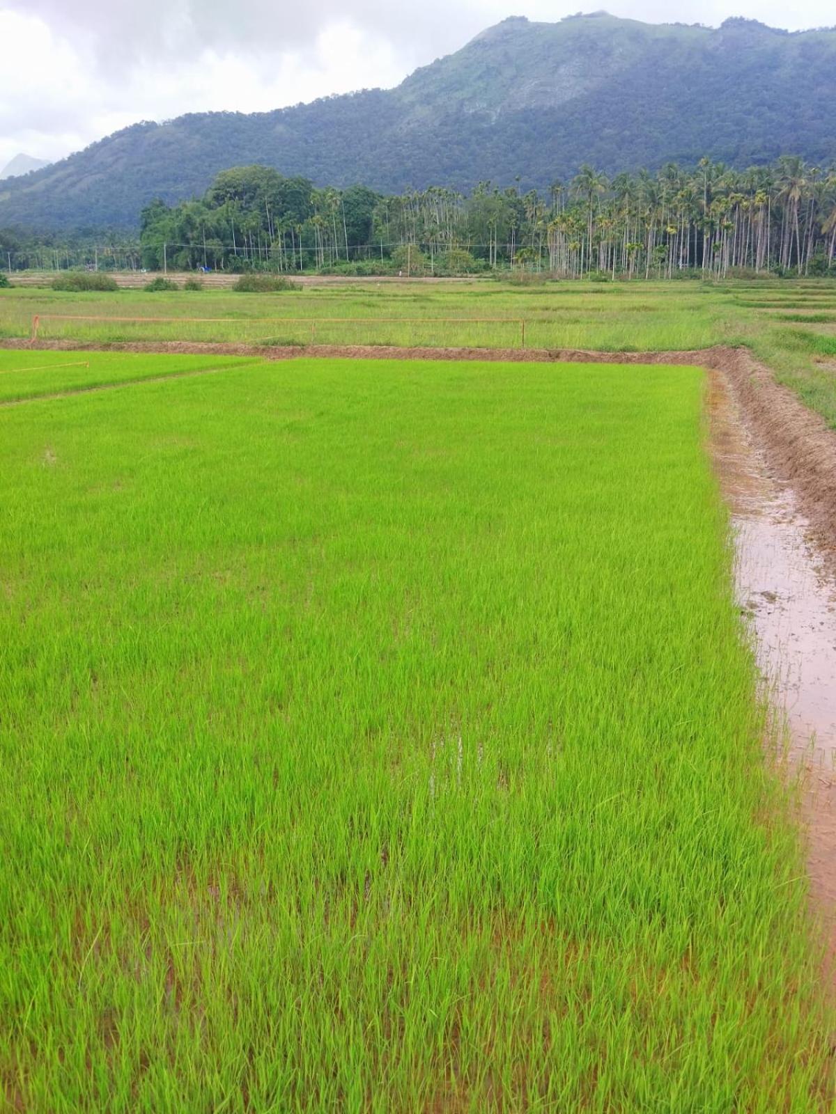 Bhuvanam homestay