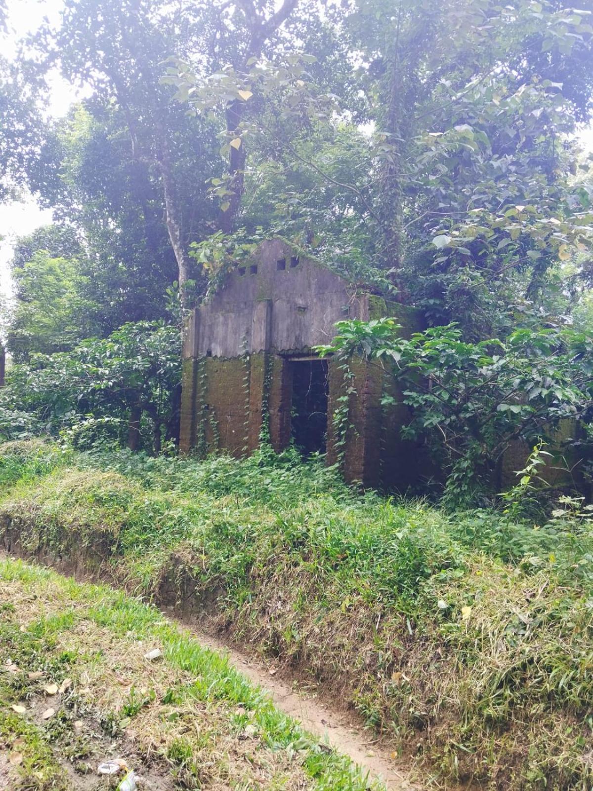 Bhuvanam homestay
